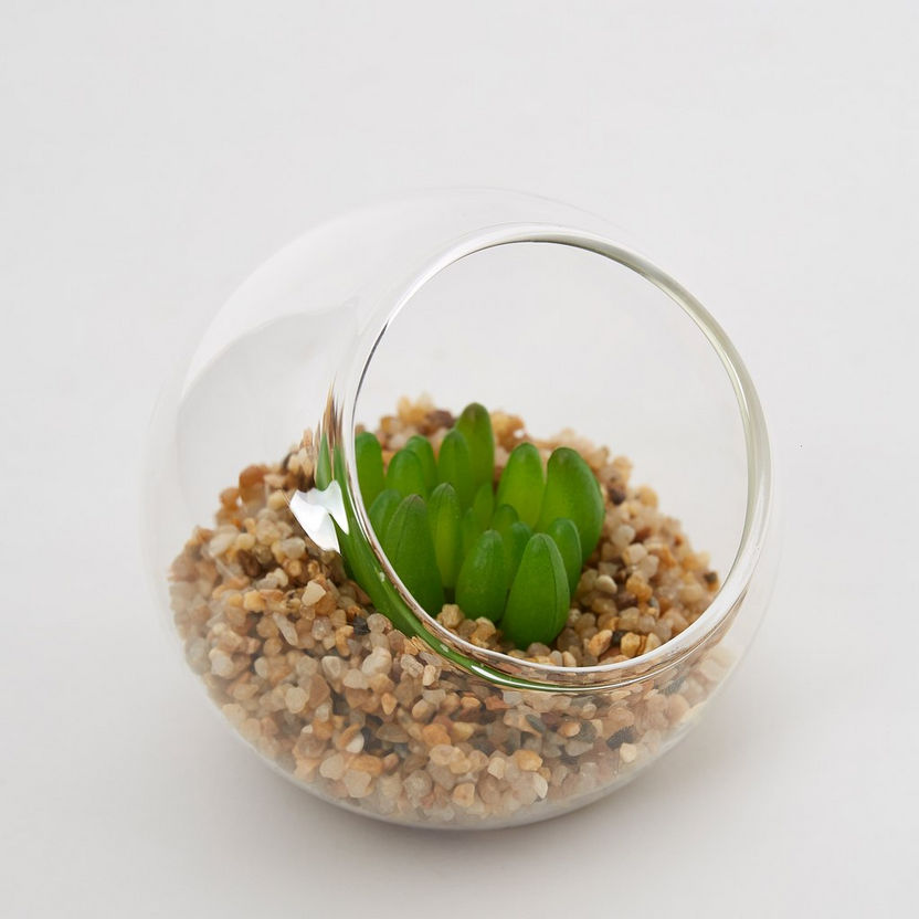 Verdura Minulle Succulents in Clear Glass-Artificial Flowers & Plants-image-3