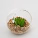 Verdura Minulle Succulents in Clear Glass-Artificial Flowers & Plants-thumbnailMobile-3