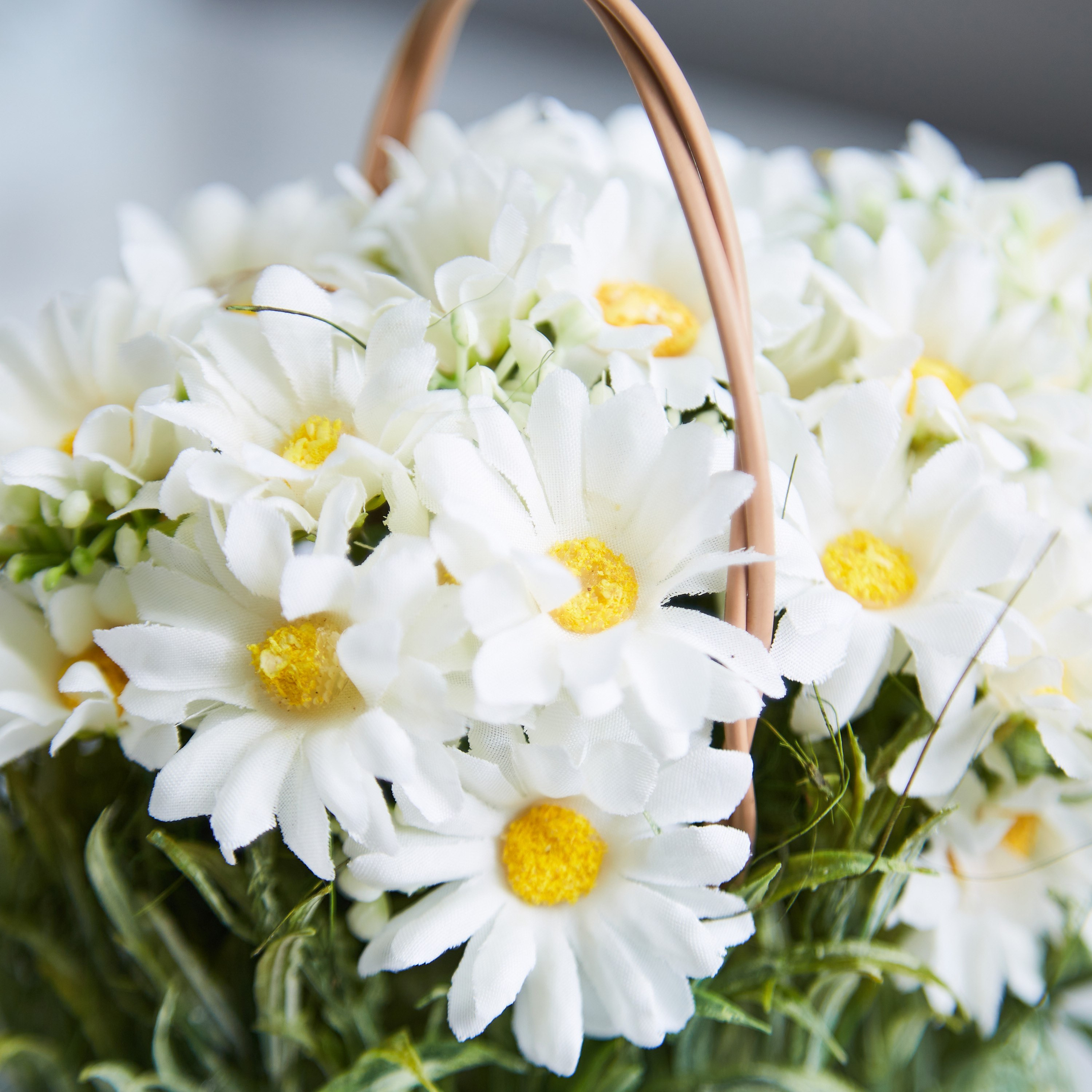 إناء زجاج زهور الأقحوان من إيريس - 9x13 سم-hbxdecorandfurnishings-homeaccessories-artificialflowersandplants-image-2
