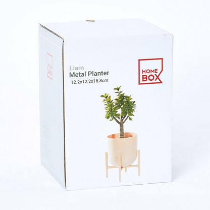 Liam Metal Planter with Plastic Pot - 12x12x17 cm