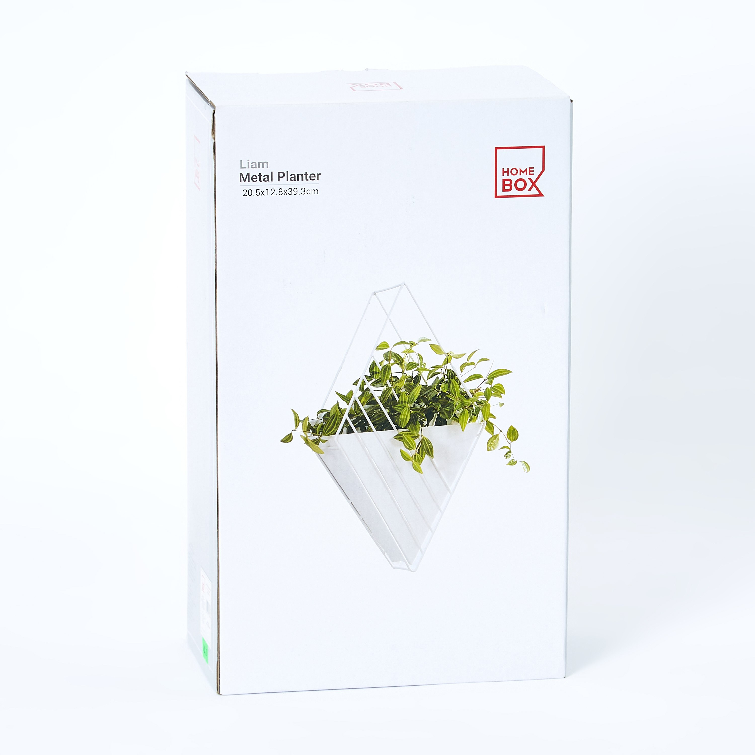 Liam Wall Hanging Metal Planter with Pot - 21x13x39 cm-hbxhomeware-hbxdecorandfurnishings-image-5