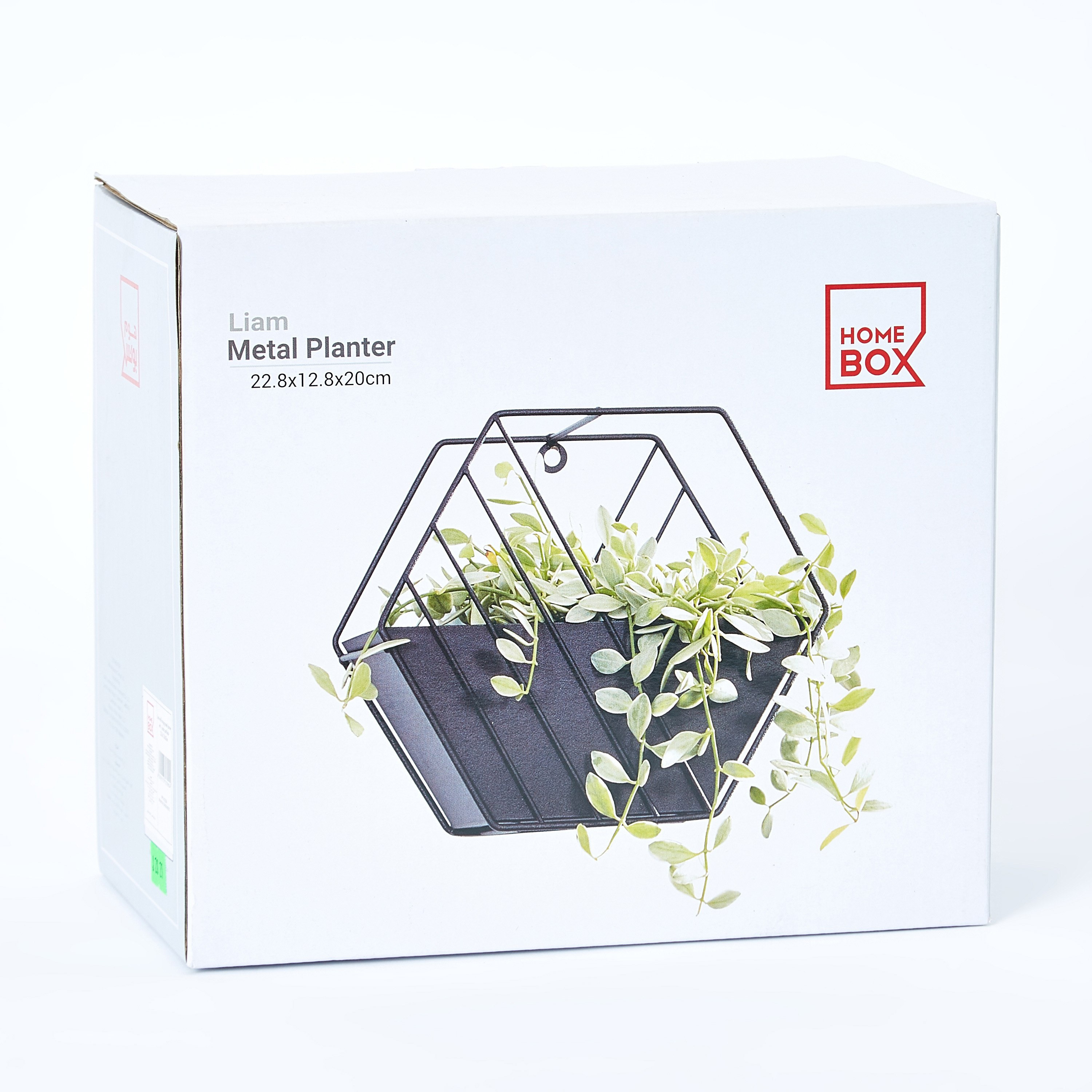Liam Wall Hanging Metal Planter with Pot - 23x13x20 cm-PROMO_HB_AE_B1G1_250925-image-5