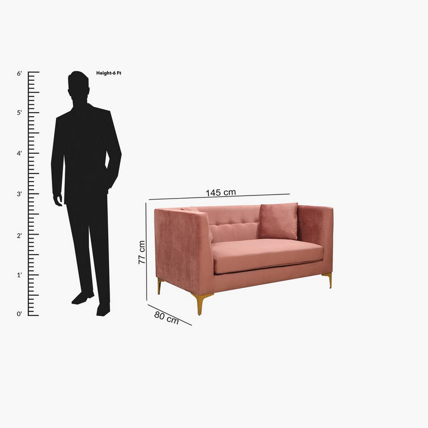 Blaise 2-Seater Velvet Sofa with 2 Cushions-Sofas-image-8