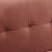 Blaise 1-Seater Velvet Sofa with Cushion-Sofas-thumbnail-6