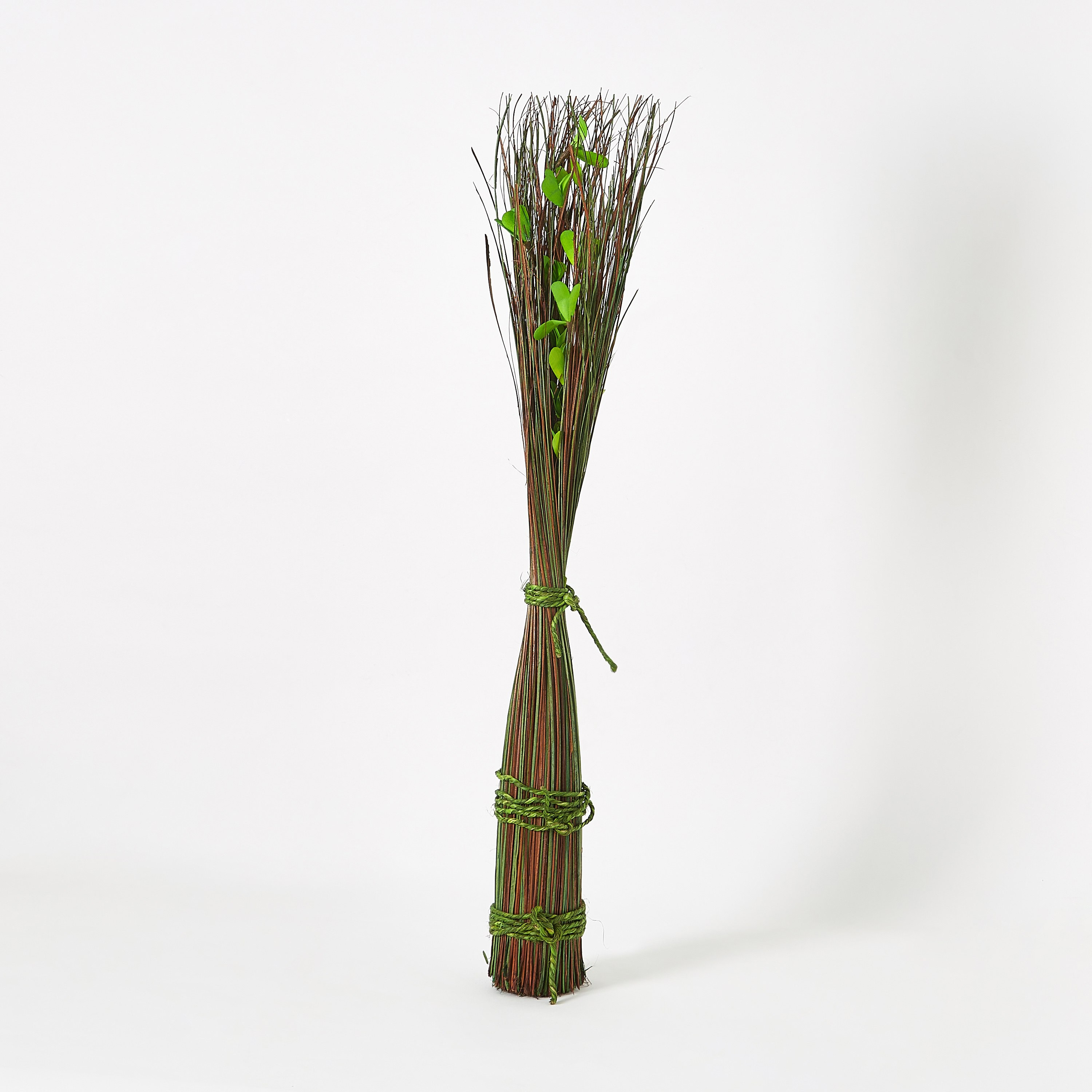 باقة نبات قائمة من إيستيل - 10x10x90 سم-hbxdecorandfurnishings-homeaccessories-artificialflowersandplants-image-5
