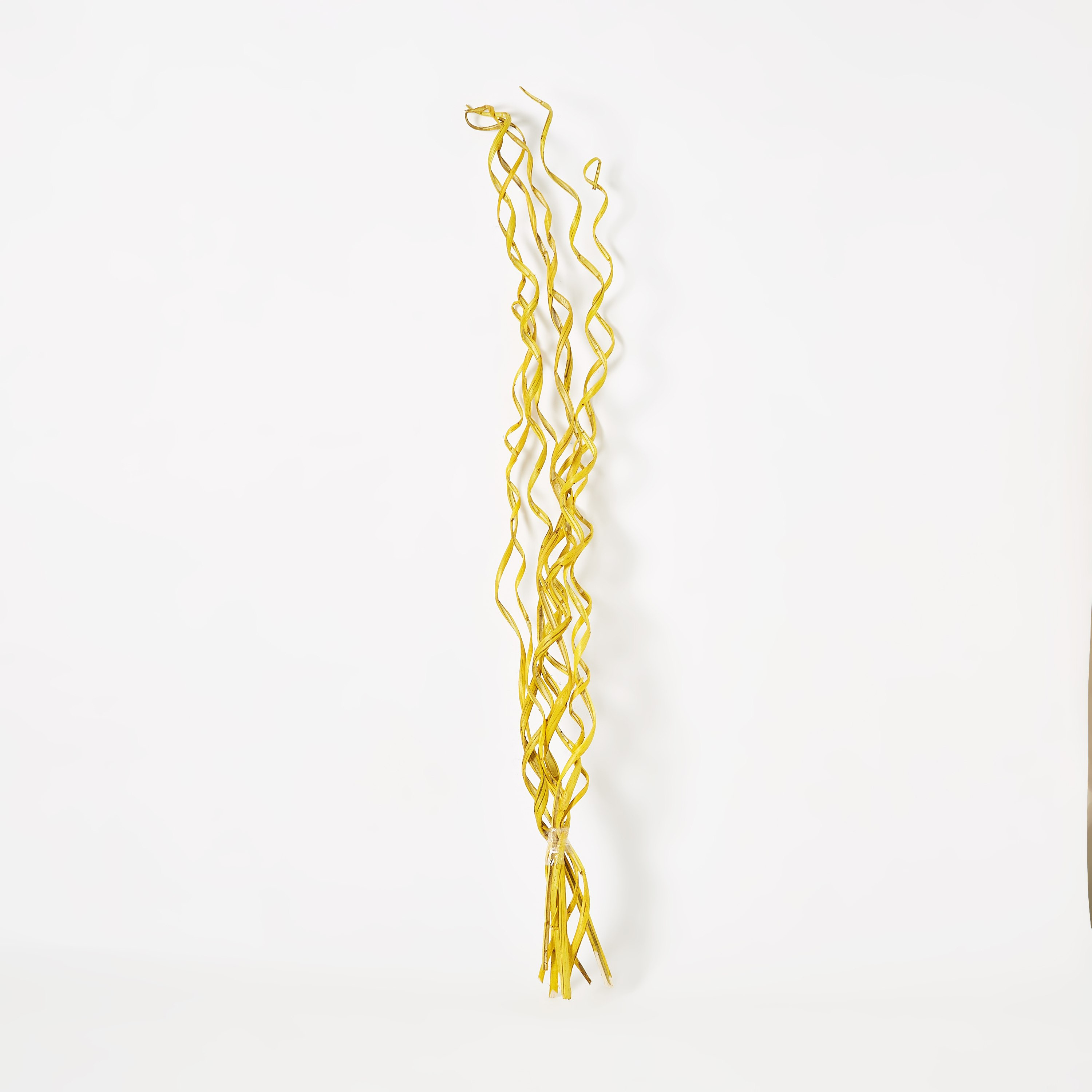 أعواد زينة لولبية من إيستيل- 12x5x100 سم-hbxdecorandfurnishings-homeaccessories-artificialflowersandplants-image-4