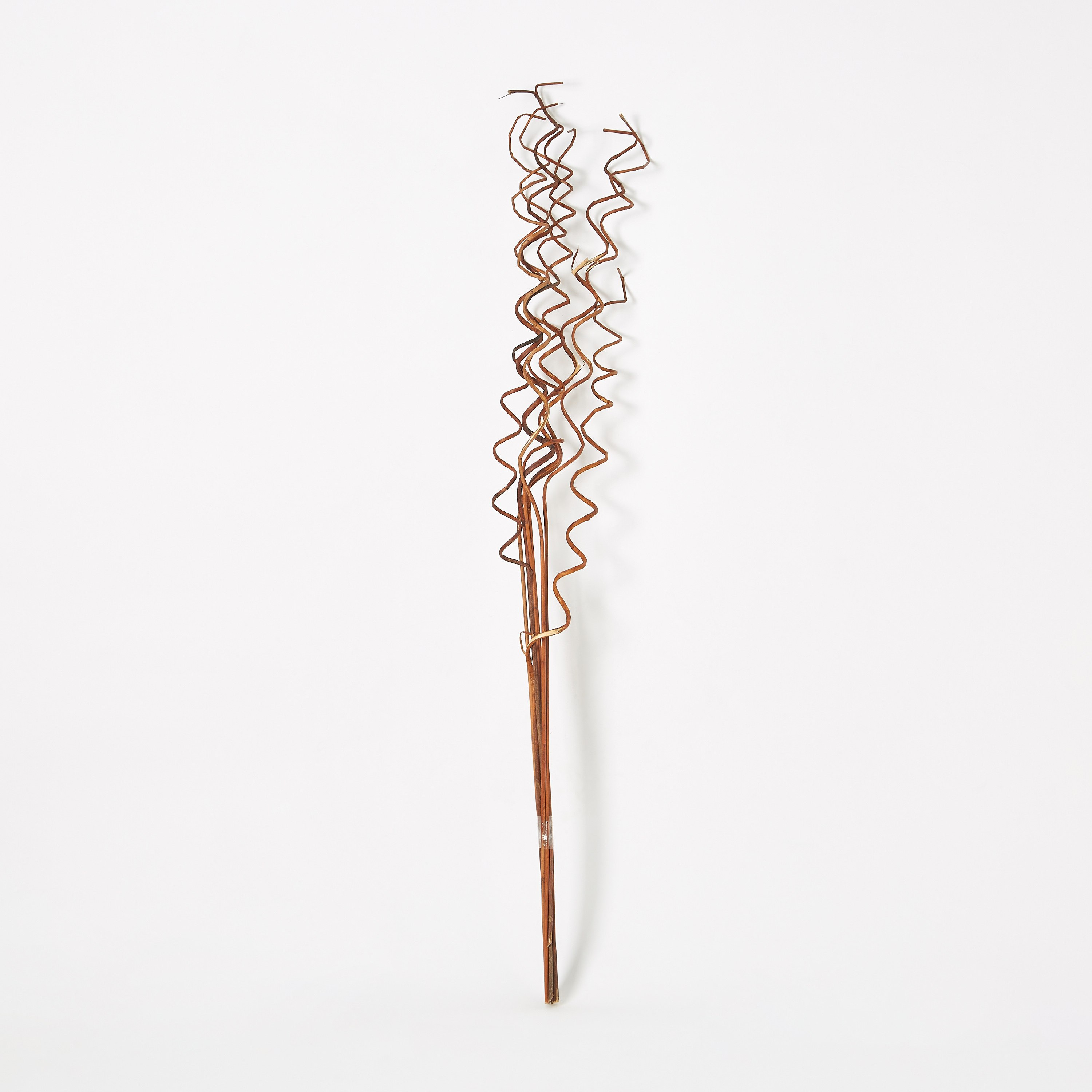 أعواد زينة لولبية من إيستيل- 12x5x100 سم-hbxdecorandfurnishings-homeaccessories-artificialflowersandplants-image-4