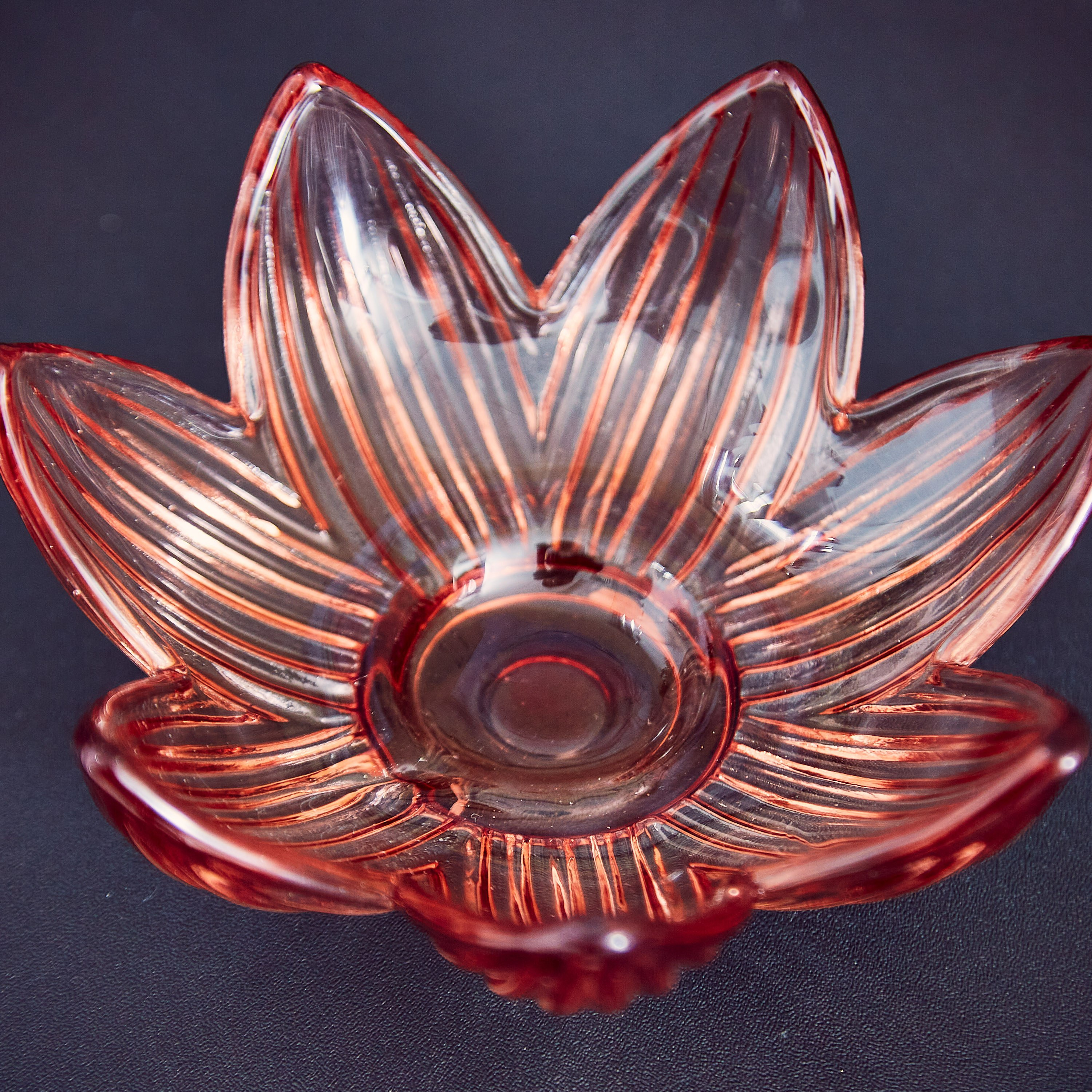 حامل شموع زجاجي فلورال بلوم من أودري- 11.5x4.6 سم-hbxlivingroom-decorandaccessories-candleholders-image-3