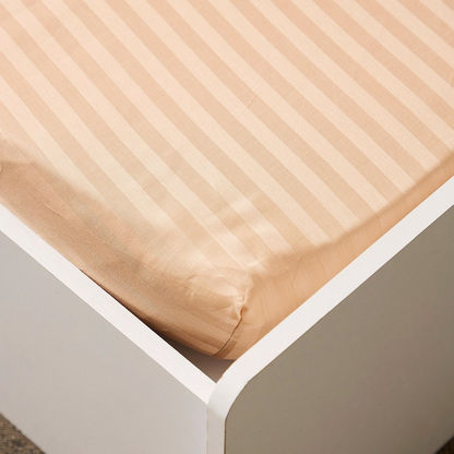 Hamilton Satin Striped Single Cotton Fitted Sheet - 90x200+30 cms