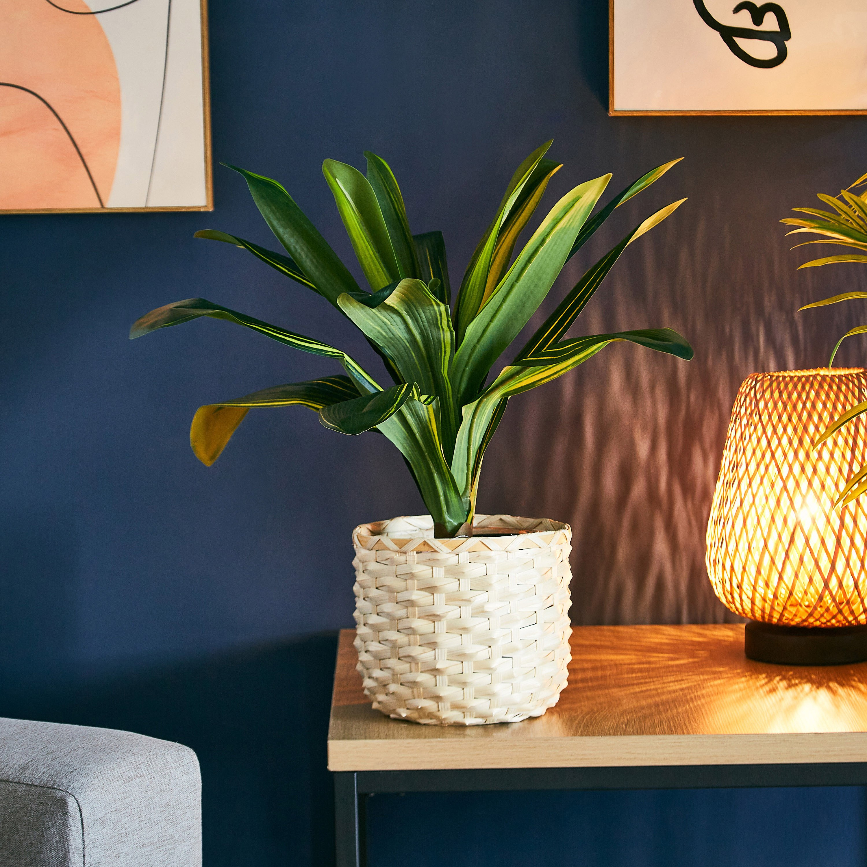 نبتة ليمون في إصيص بلاستيك من ليفيا - 15x42 سم-hbxdecorandfurnishings-homeaccessories-artificialflowersandplants-image-1