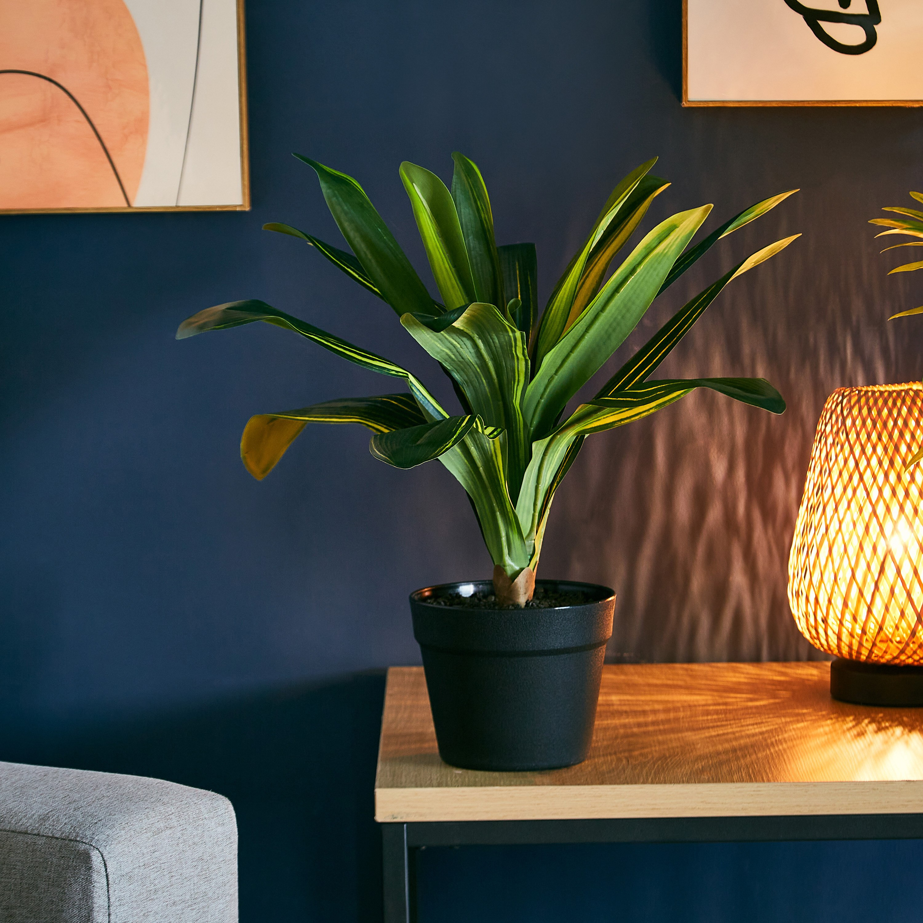 نبتة ليمون في إصيص بلاستيك من ليفيا - 15x42 سم-hbxdecorandfurnishings-homeaccessories-artificialflowersandplants-image-2
