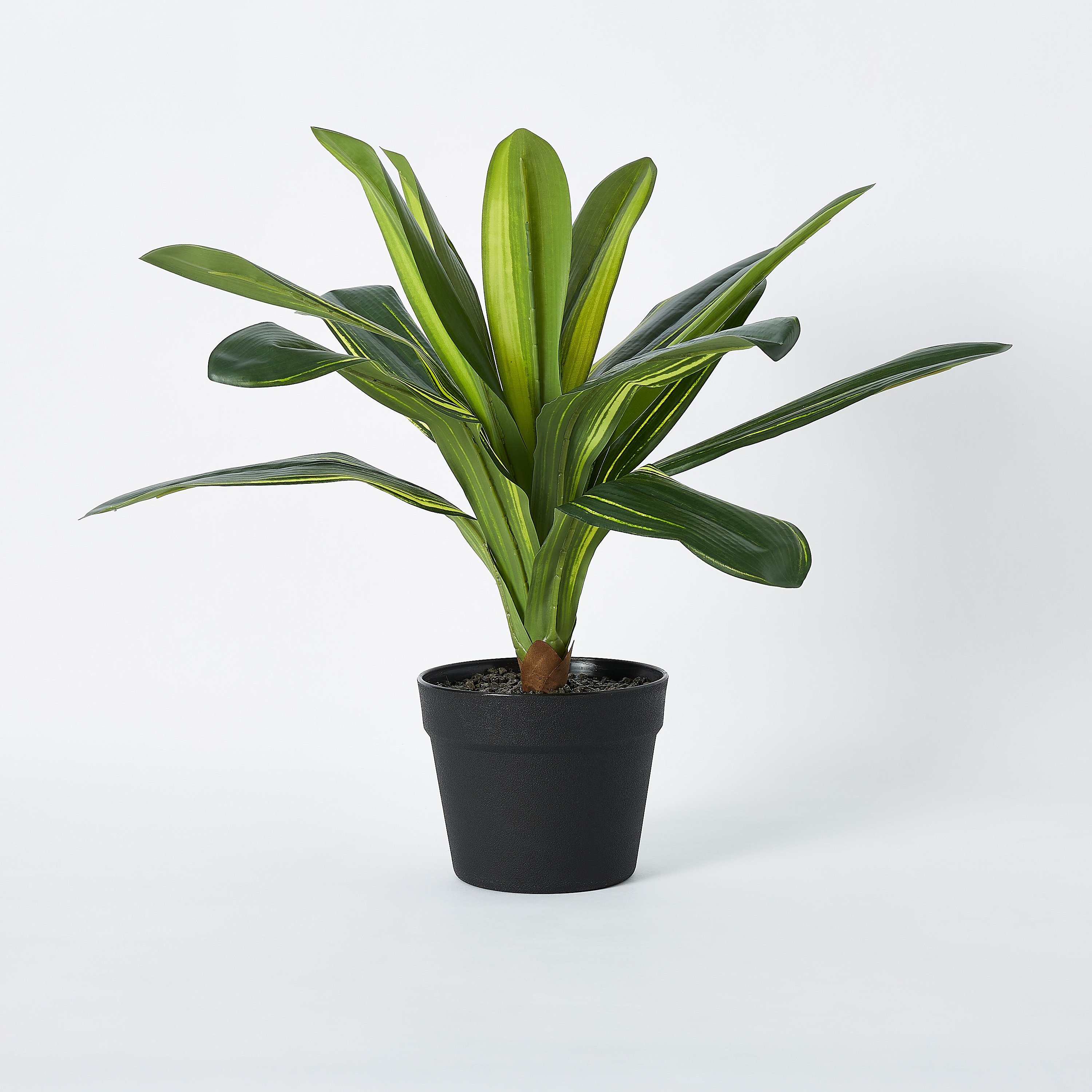 نبتة ليمون في إصيص بلاستيك من ليفيا - 15x42 سم-hbxdecorandfurnishings-homeaccessories-artificialflowersandplants-image-5