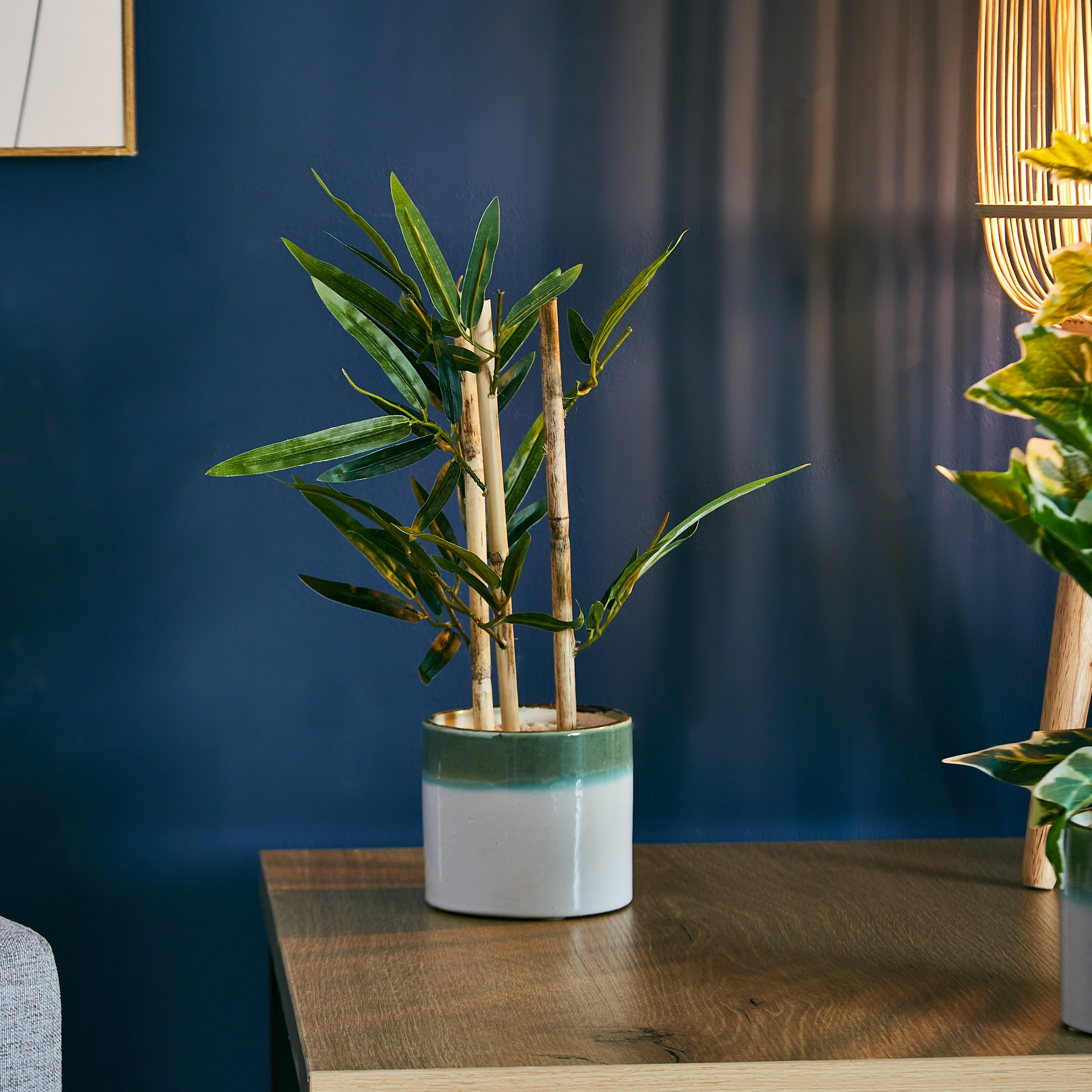 نبات اصطناعي داخل إناء سيراميك من ليفيا - 10x25 سم-hbxdecorandfurnishings-homeaccessories-artificialflowersandplants-image-1