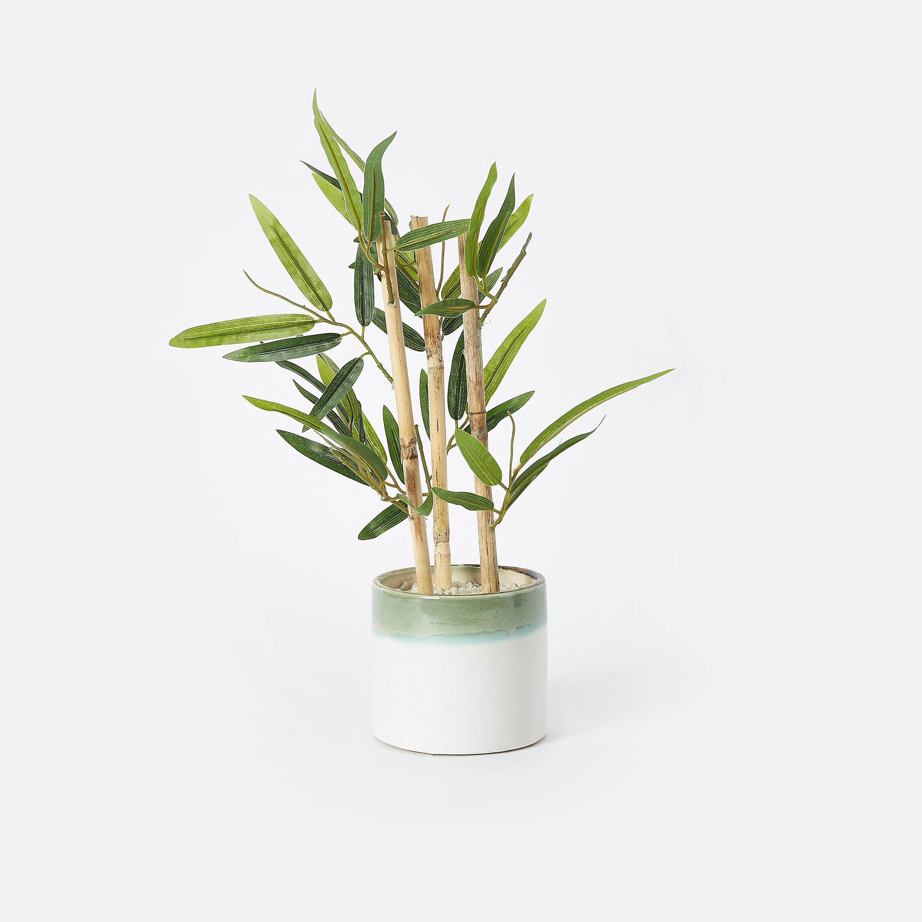 نبات اصطناعي داخل إناء سيراميك من ليفيا - 10x25 سم-hbxdecorandfurnishings-homeaccessories-artificialflowersandplants-image-5