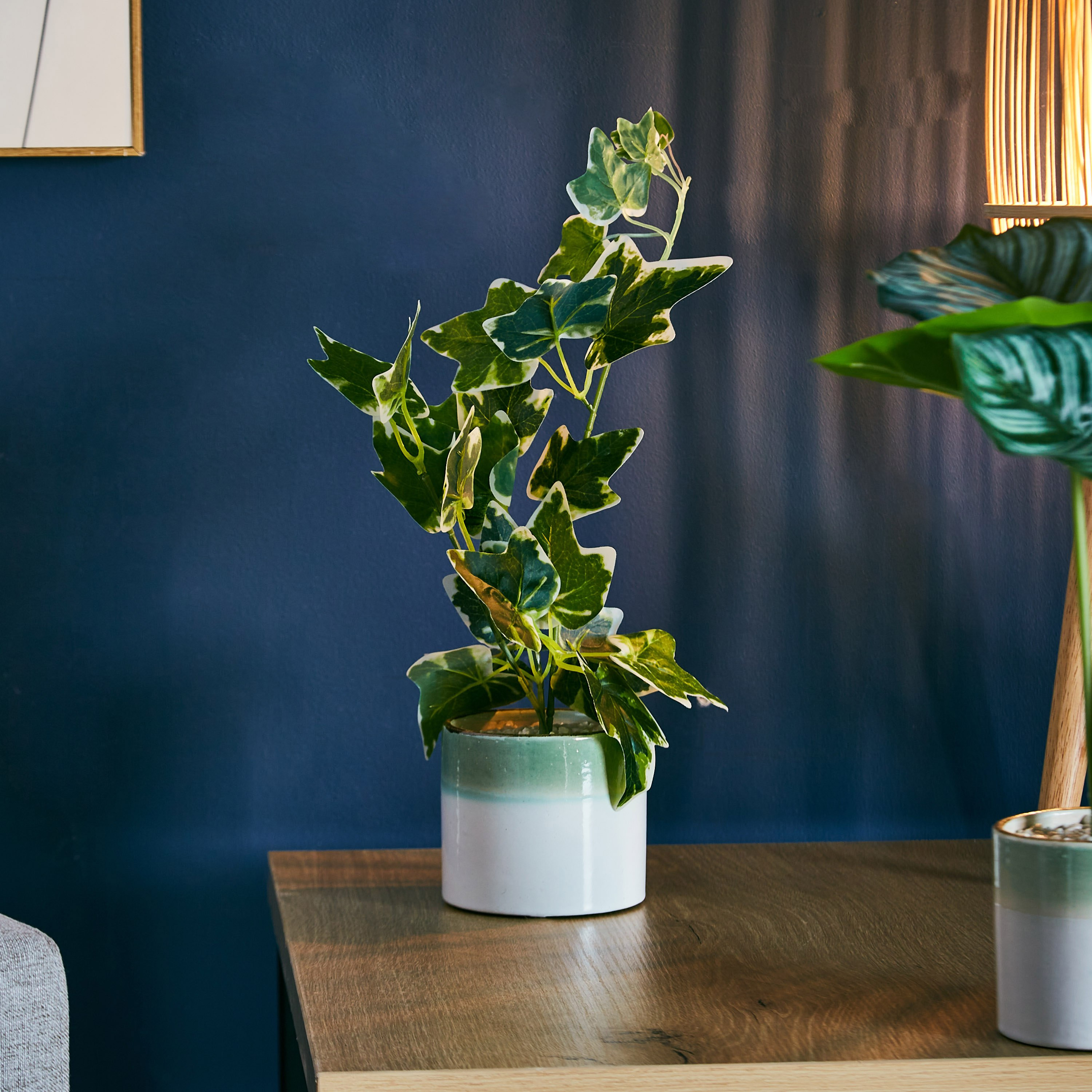 نبات اصطناعي في إناء سيراميك من ليفيا - 10x25 سم-hbxdecorandfurnishings-homeaccessories-artificialflowersandplants-image-1