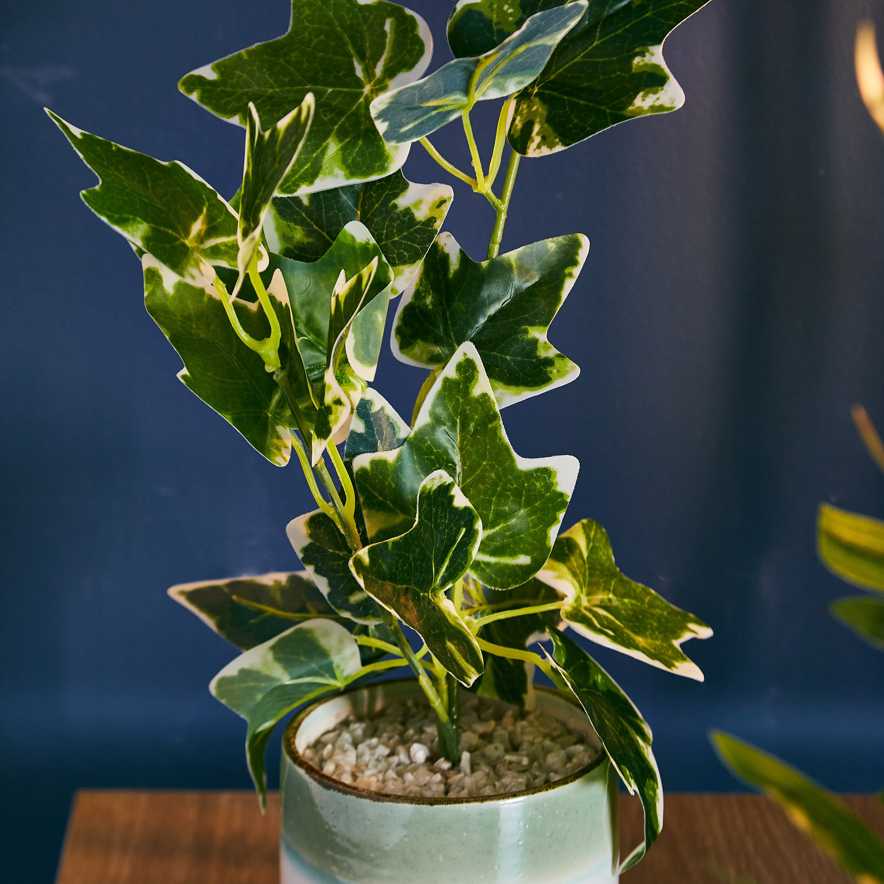 نبات اصطناعي في إناء سيراميك من ليفيا - 10x25 سم-hbxdecorandfurnishings-homeaccessories-artificialflowersandplants-image-2