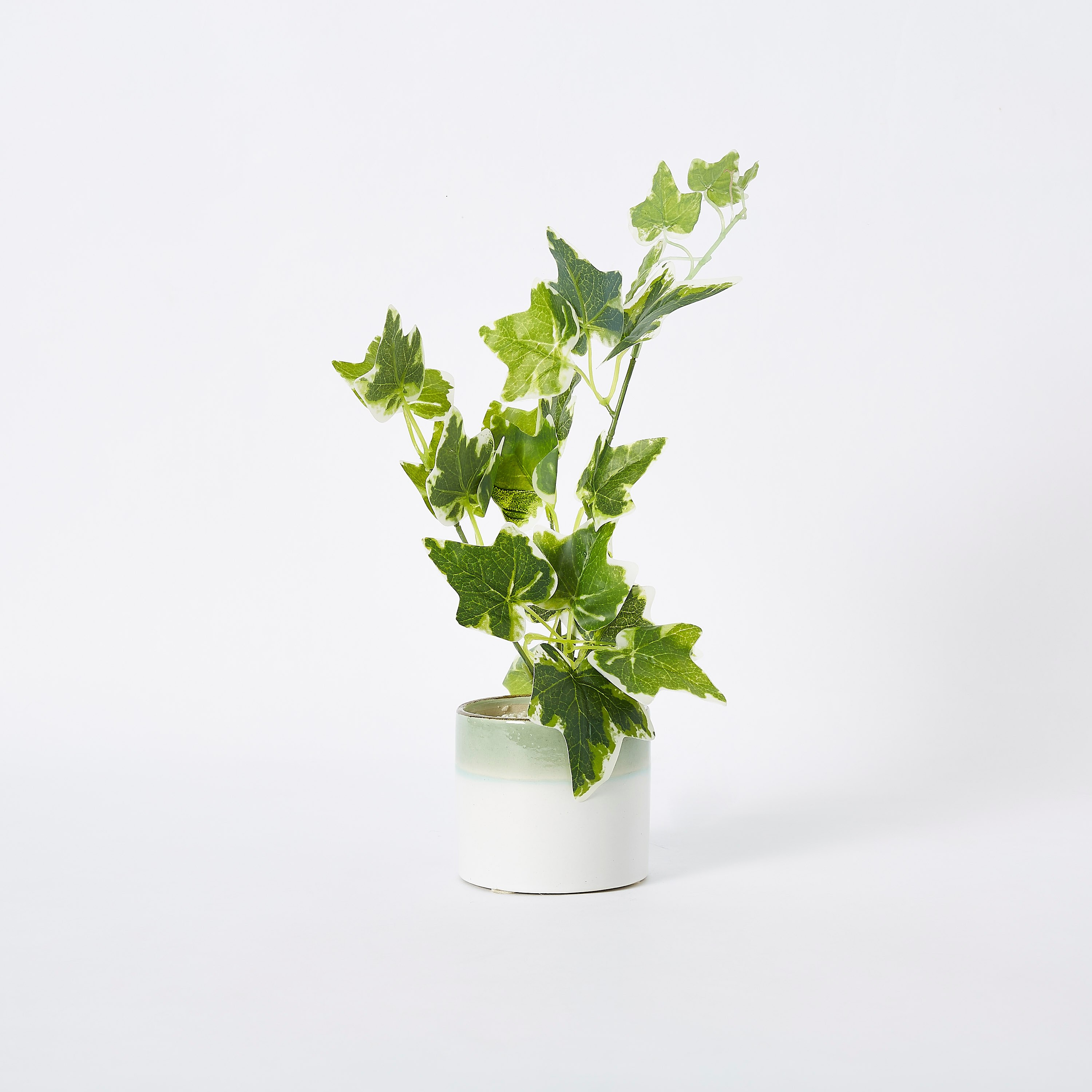 نبات اصطناعي في إناء سيراميك من ليفيا - 10x25 سم-hbxdecorandfurnishings-homeaccessories-artificialflowersandplants-image-4