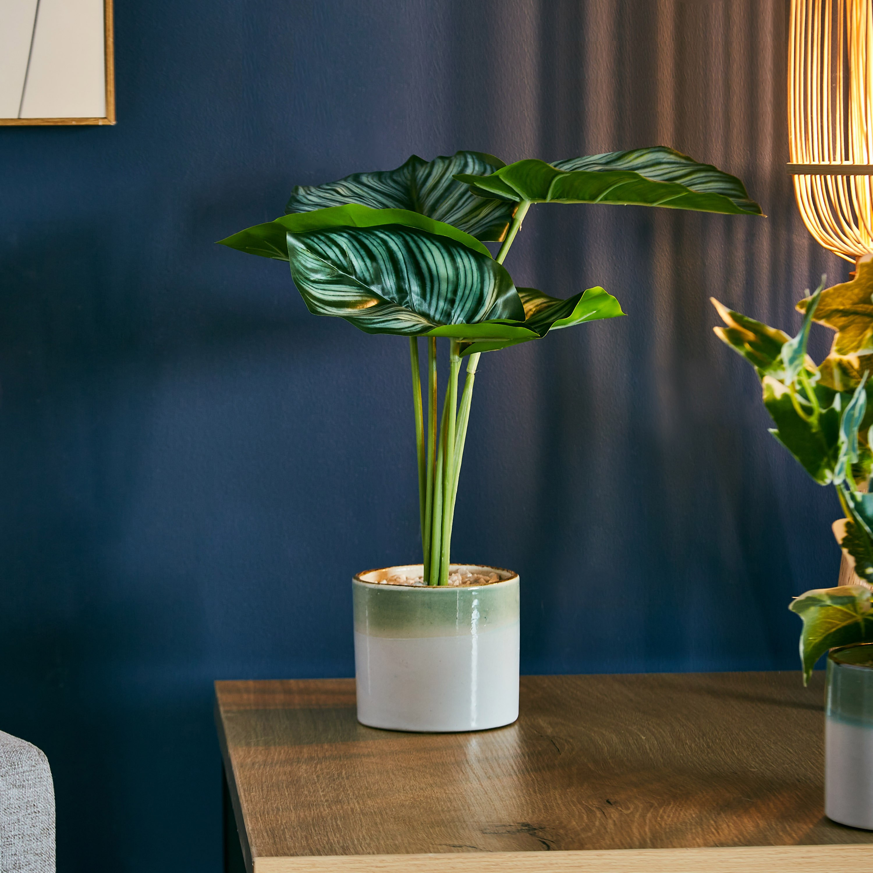 Livia White Spotted Leaves in Ceramic Pot - 10x25 cm-hbxdecorandfurnishings-homeaccessories-artificialflowersandplants-image-1