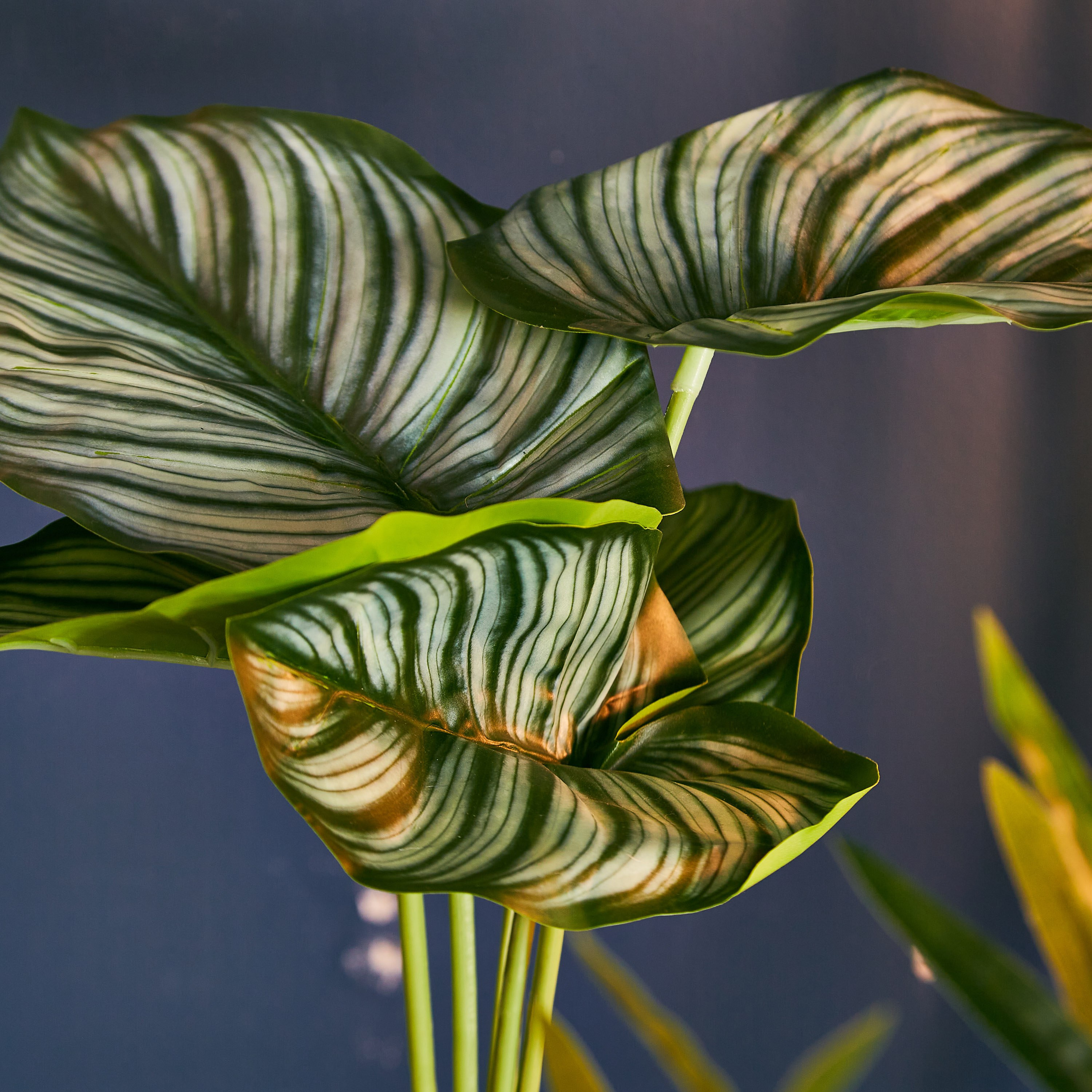 Livia White Spotted Leaves in Ceramic Pot - 10x25 cm-hbxdecorandfurnishings-homeaccessories-artificialflowersandplants-image-2