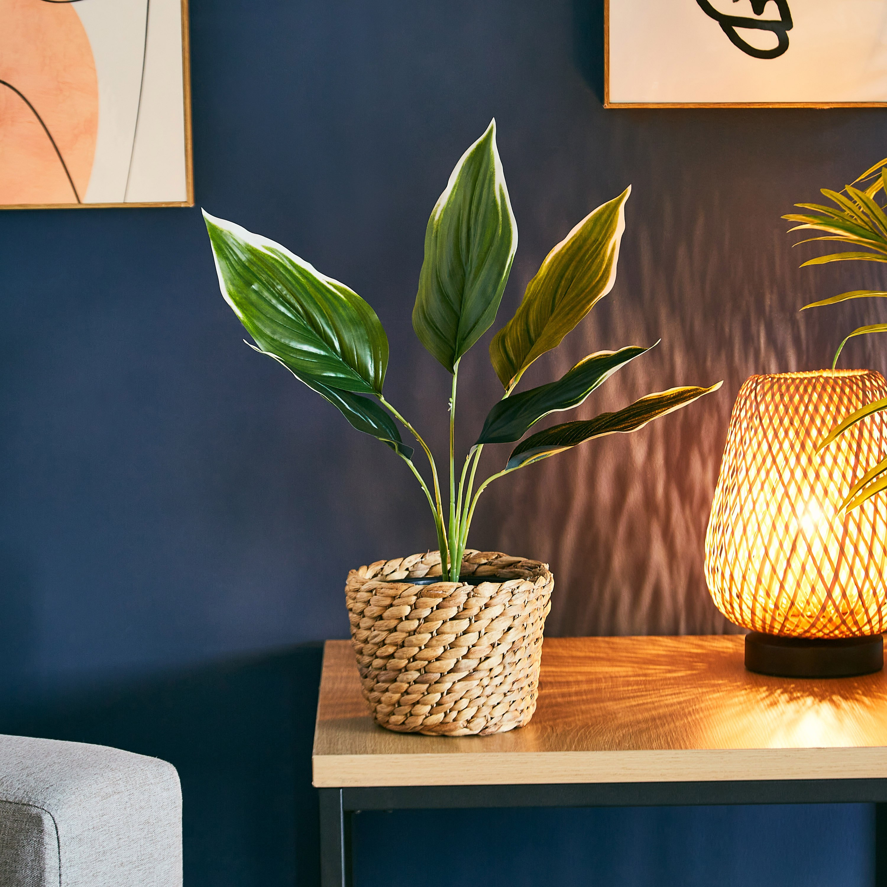 نبتة متنوعة في إصيص بلاستيك من ليفيا - 11x38 سم-hbxdecorandfurnishings-homeaccessories-artificialflowersandplants-image-1