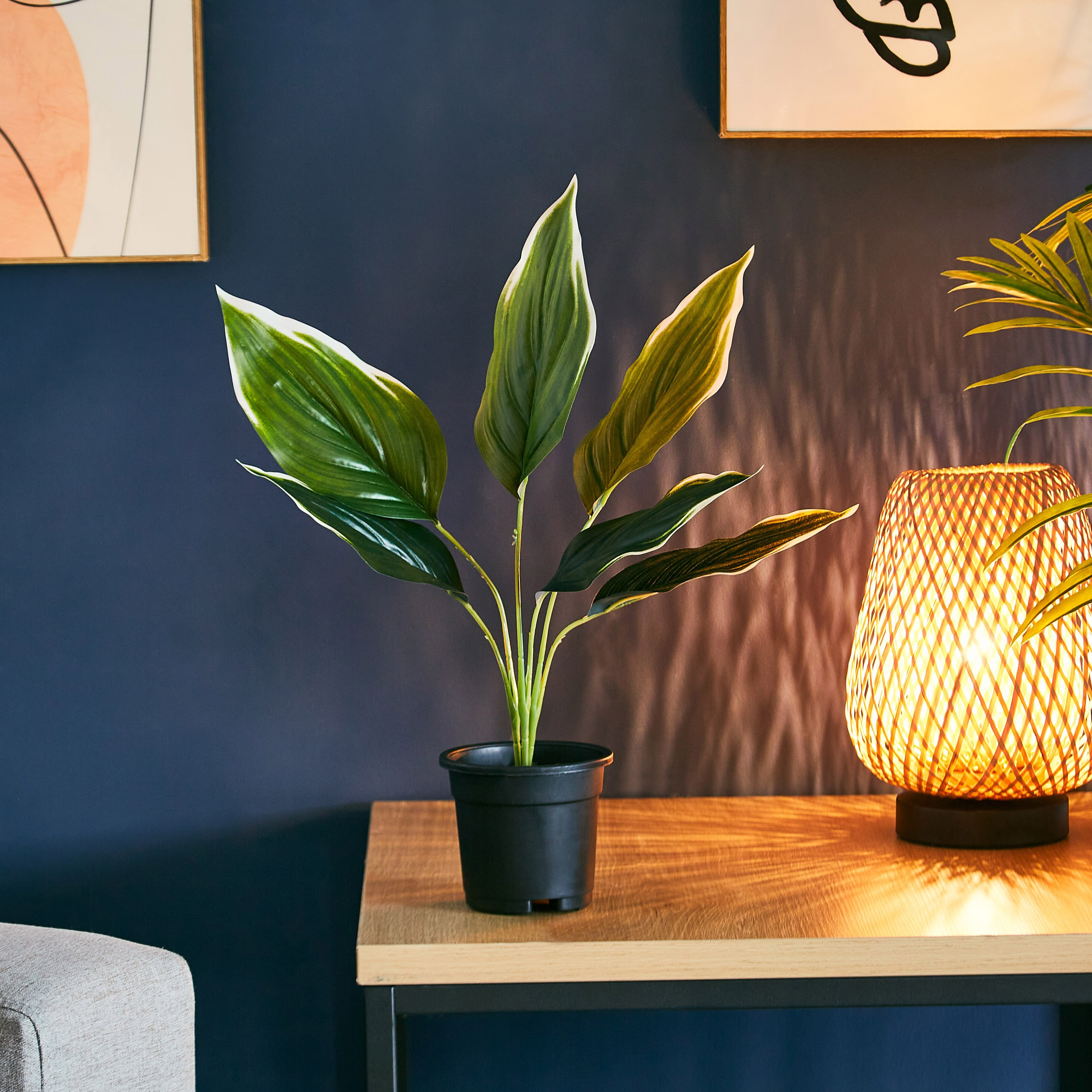 نبتة متنوعة في إصيص بلاستيك من ليفيا - 11x38 سم-hbxdecorandfurnishings-homeaccessories-artificialflowersandplants-image-2