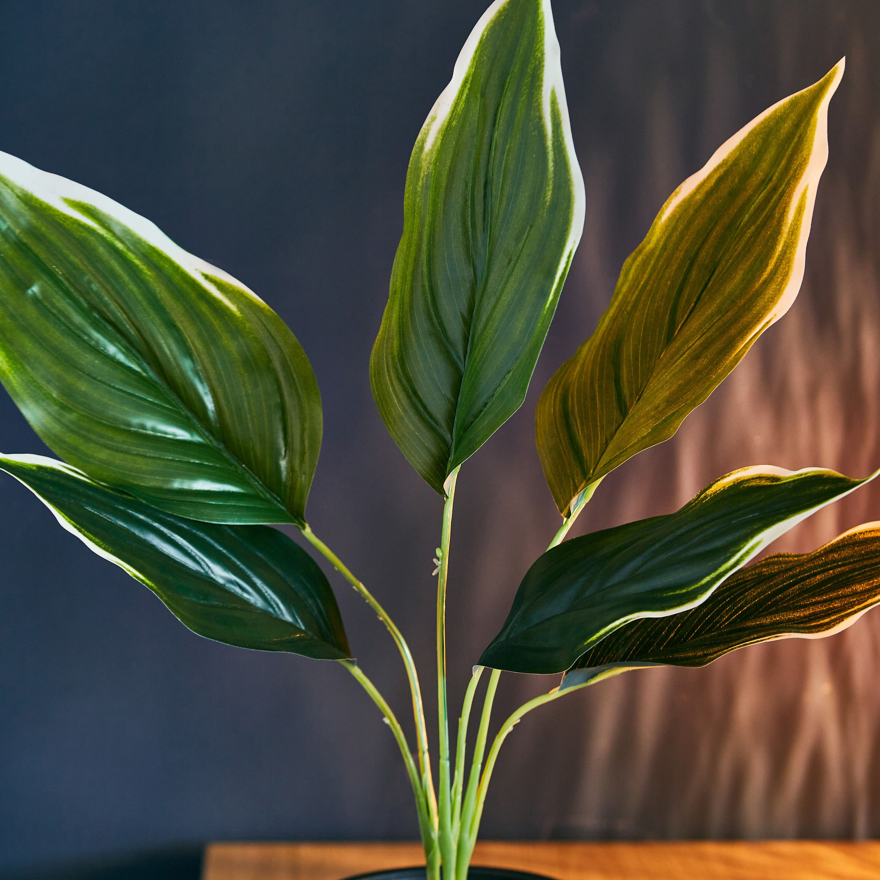 نبتة متنوعة في إصيص بلاستيك من ليفيا - 11x38 سم-hbxdecorandfurnishings-homeaccessories-artificialflowersandplants-image-3