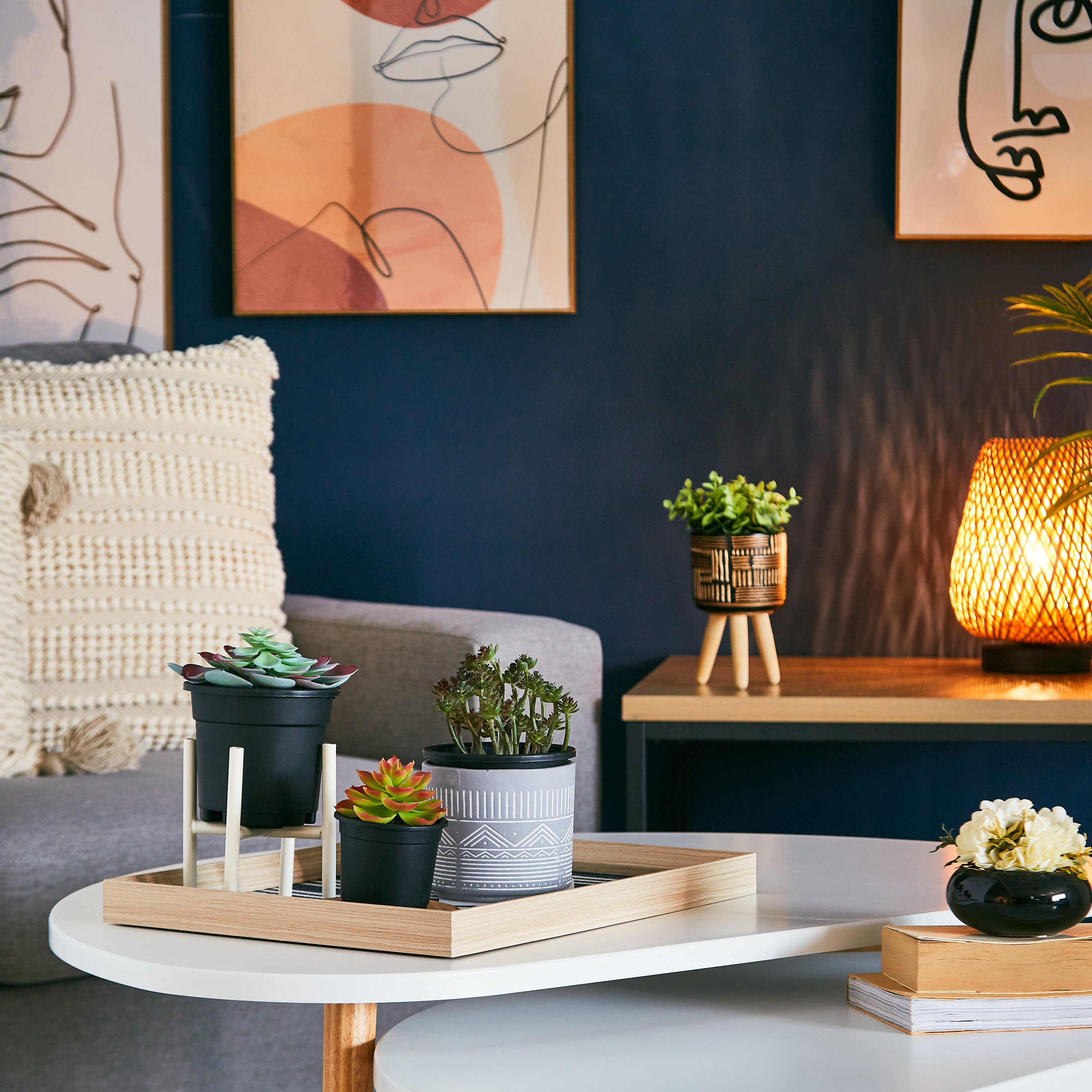 نبتة عصاري كبيرة في إصيص بلاستيك من ليفيا - 11x17 سم-hbxdecorandfurnishings-homeaccessories-artificialflowersandplants-image-3