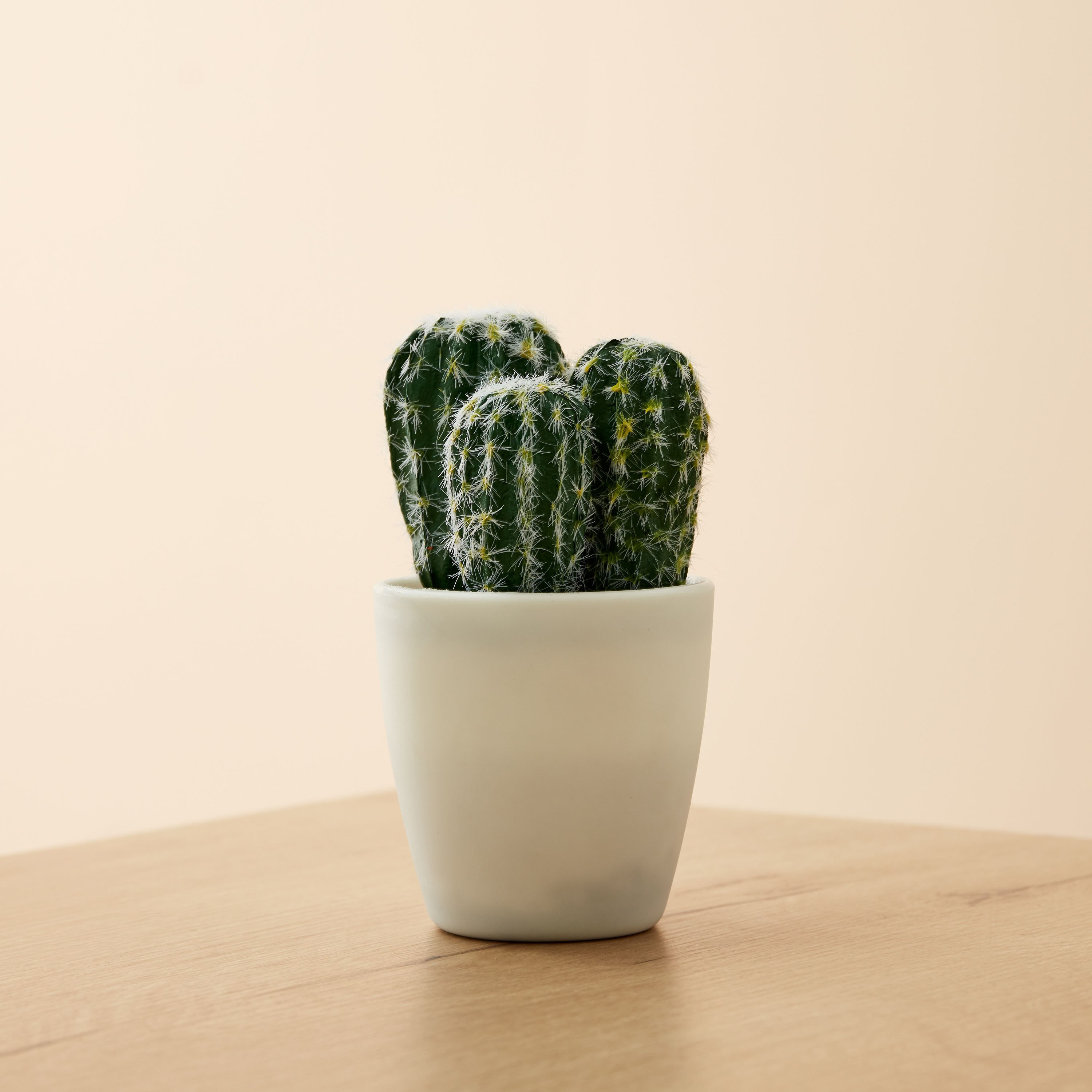 نبات صغير من إيدينك - 8x8x14 سم-hbxdecorandfurnishings-homeaccessories-artificialflowersandplants-image-1