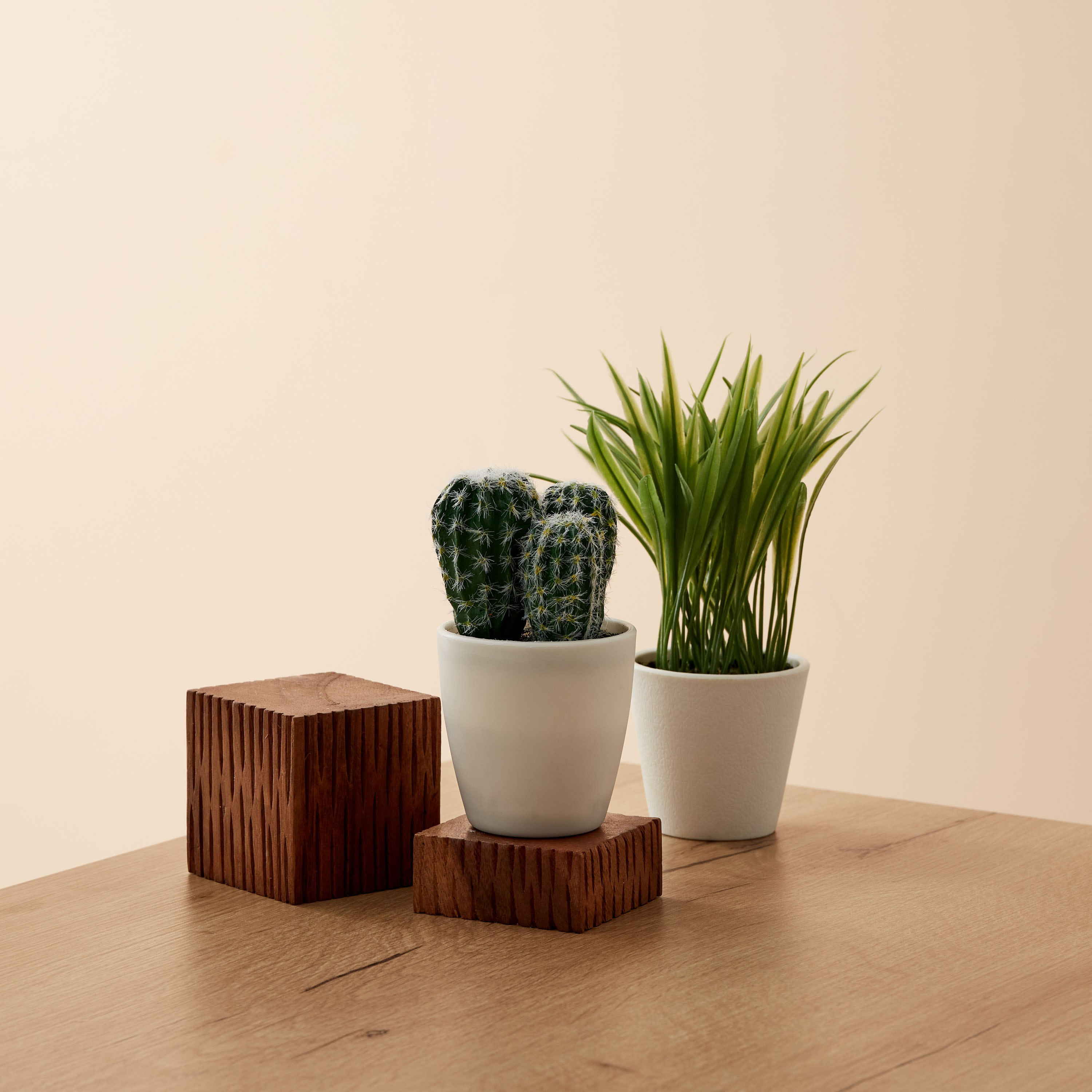 نبات صغير من إيدينك - 8x8x14 سم-hbxdecorandfurnishings-homeaccessories-artificialflowersandplants-image-4