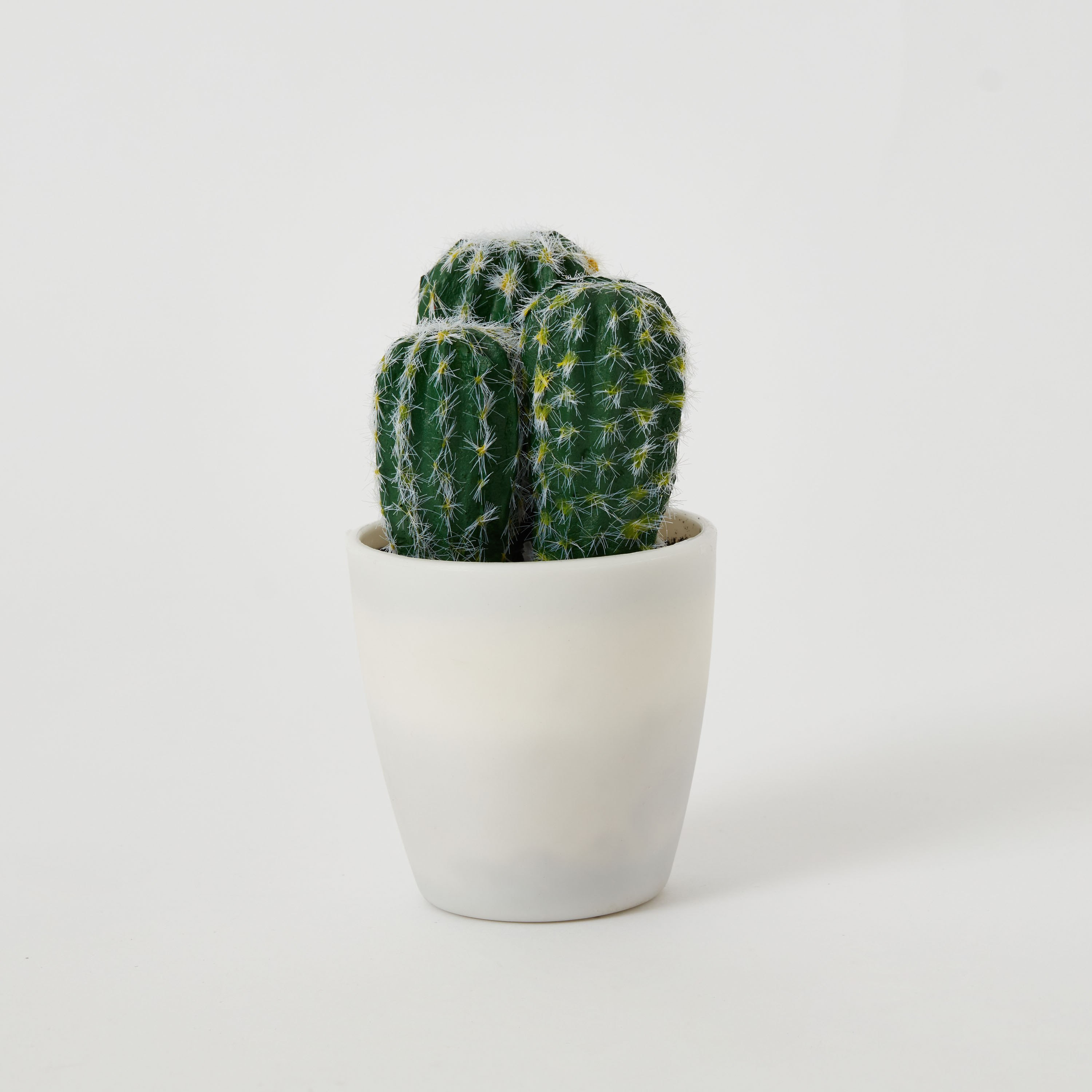 نبات صغير من إيدينك - 8x8x14 سم-hbxdecorandfurnishings-homeaccessories-artificialflowersandplants-image-5