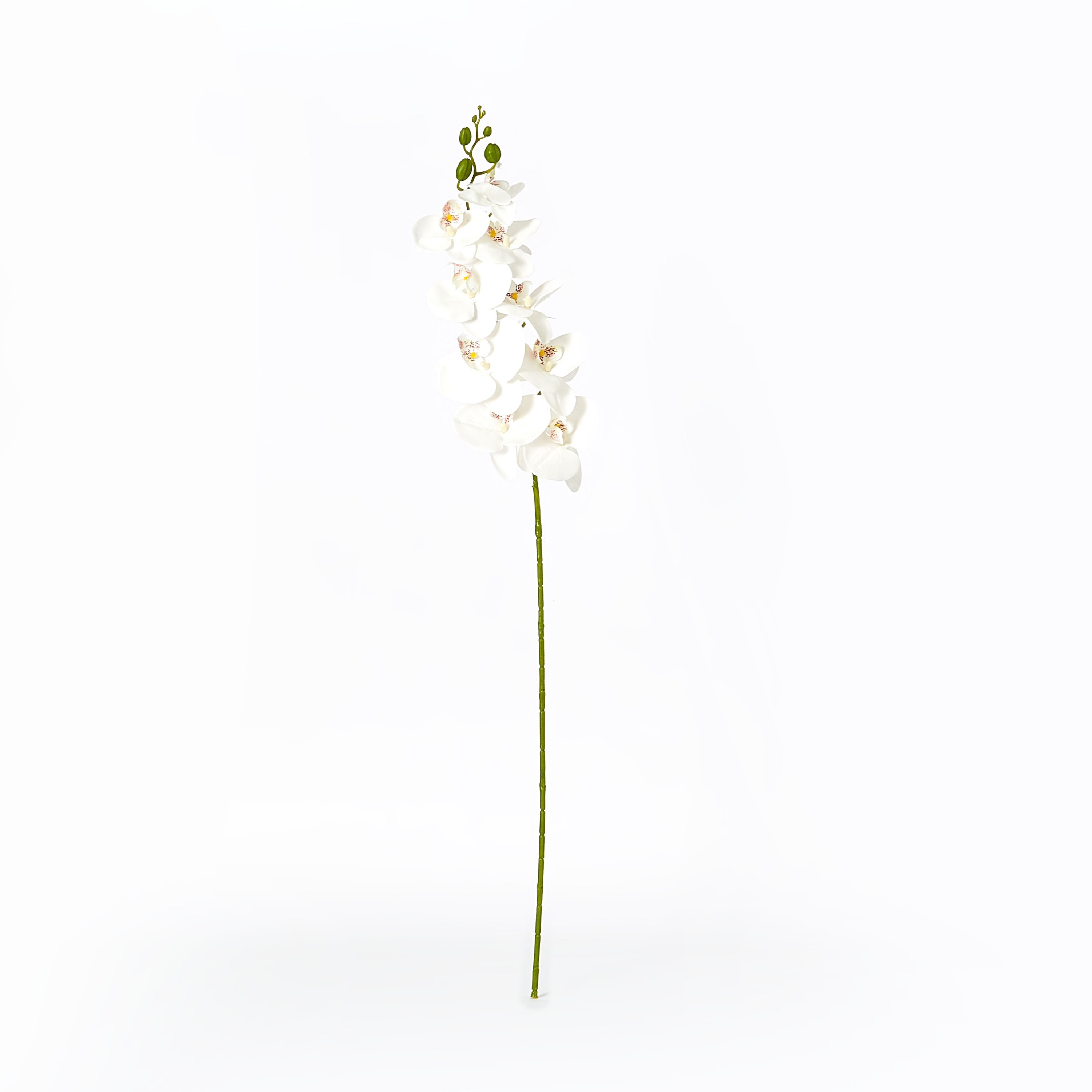 غصن أوركيد بـ9 رؤوس من آريا - 95 سم-hbxdecorandfurnishings-homeaccessories-artificialflowersandplants-image-4
