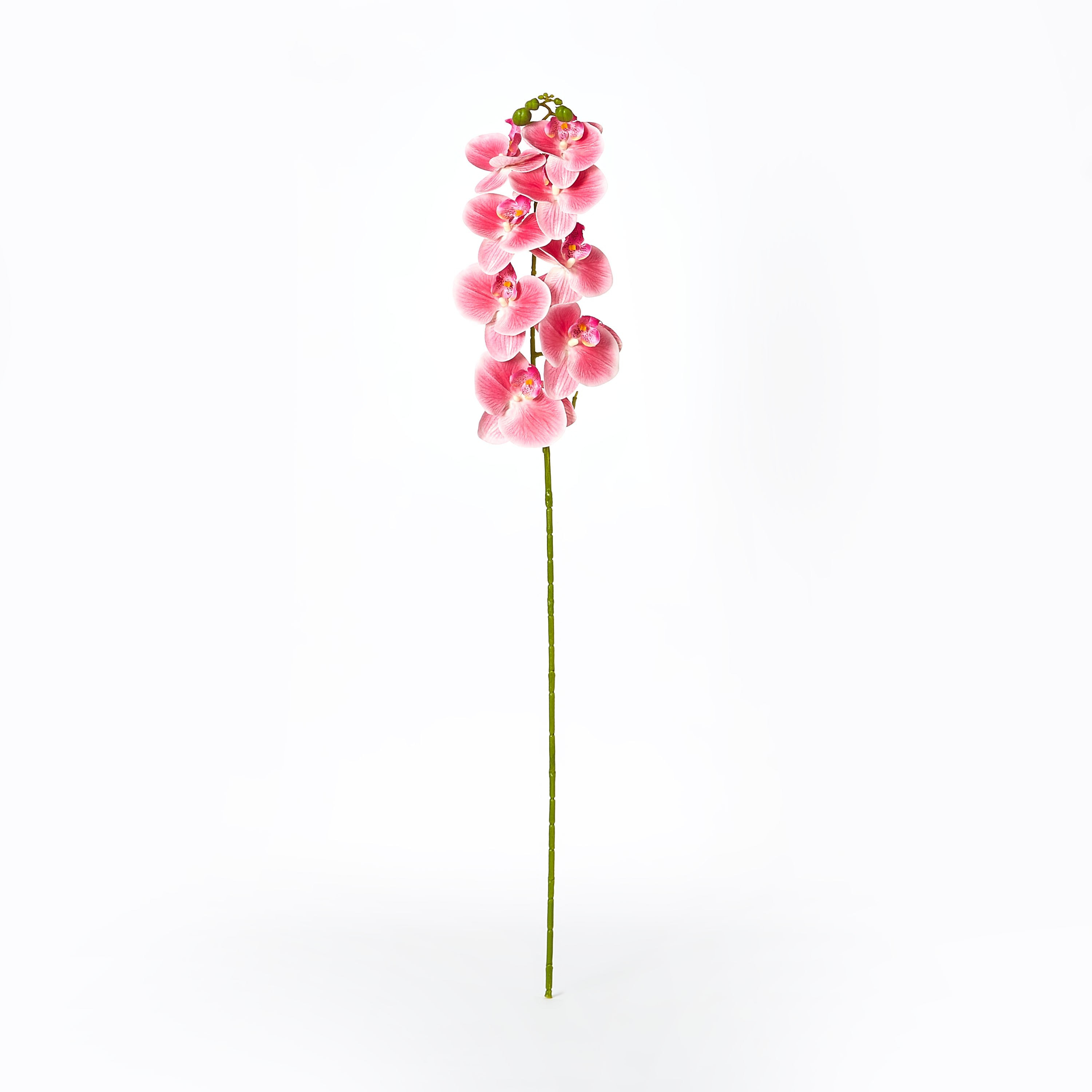 غصن أوركيد بـ9 رؤوس من آريا - 95 سم-hbxdecorandfurnishings-homeaccessories-artificialflowersandplants-image-4