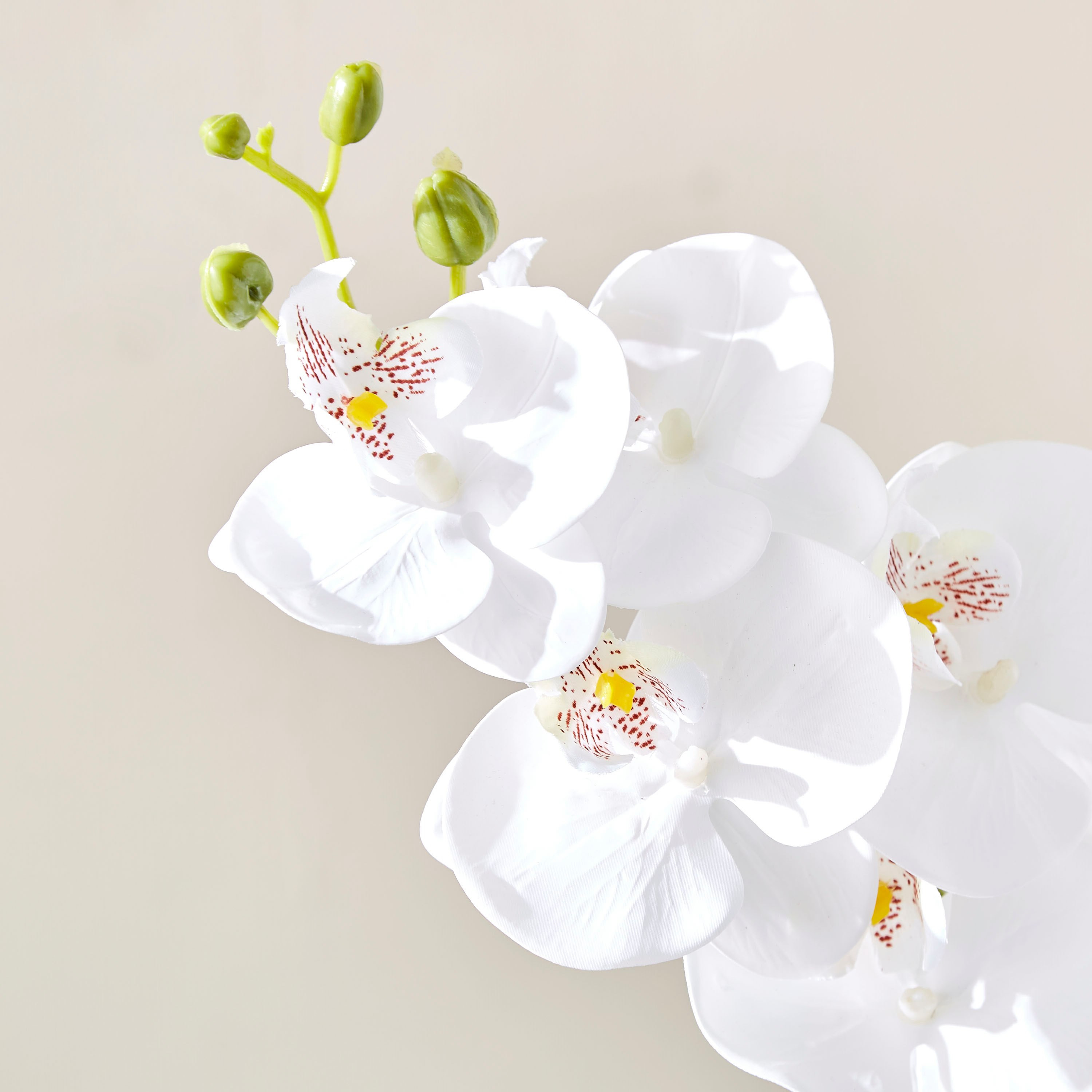 غصن أوركيد بـ 7 رؤوس من آريا - 77 سم-hbxdecorandfurnishings-homeaccessories-artificialflowersandplants-image-2