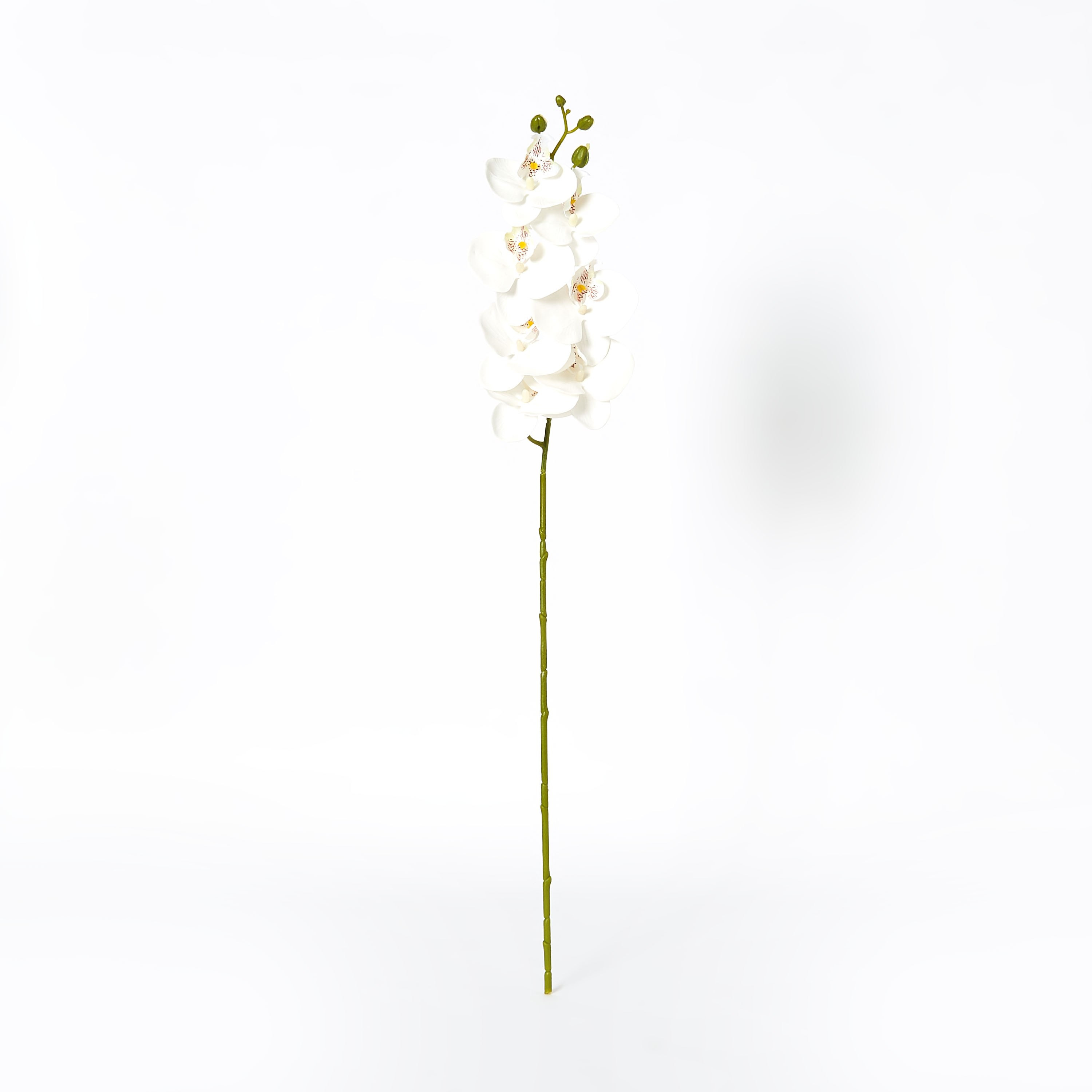 غصن أوركيد بـ 7 رؤوس من آريا - 77 سم-hbxdecorandfurnishings-homeaccessories-artificialflowersandplants-image-4
