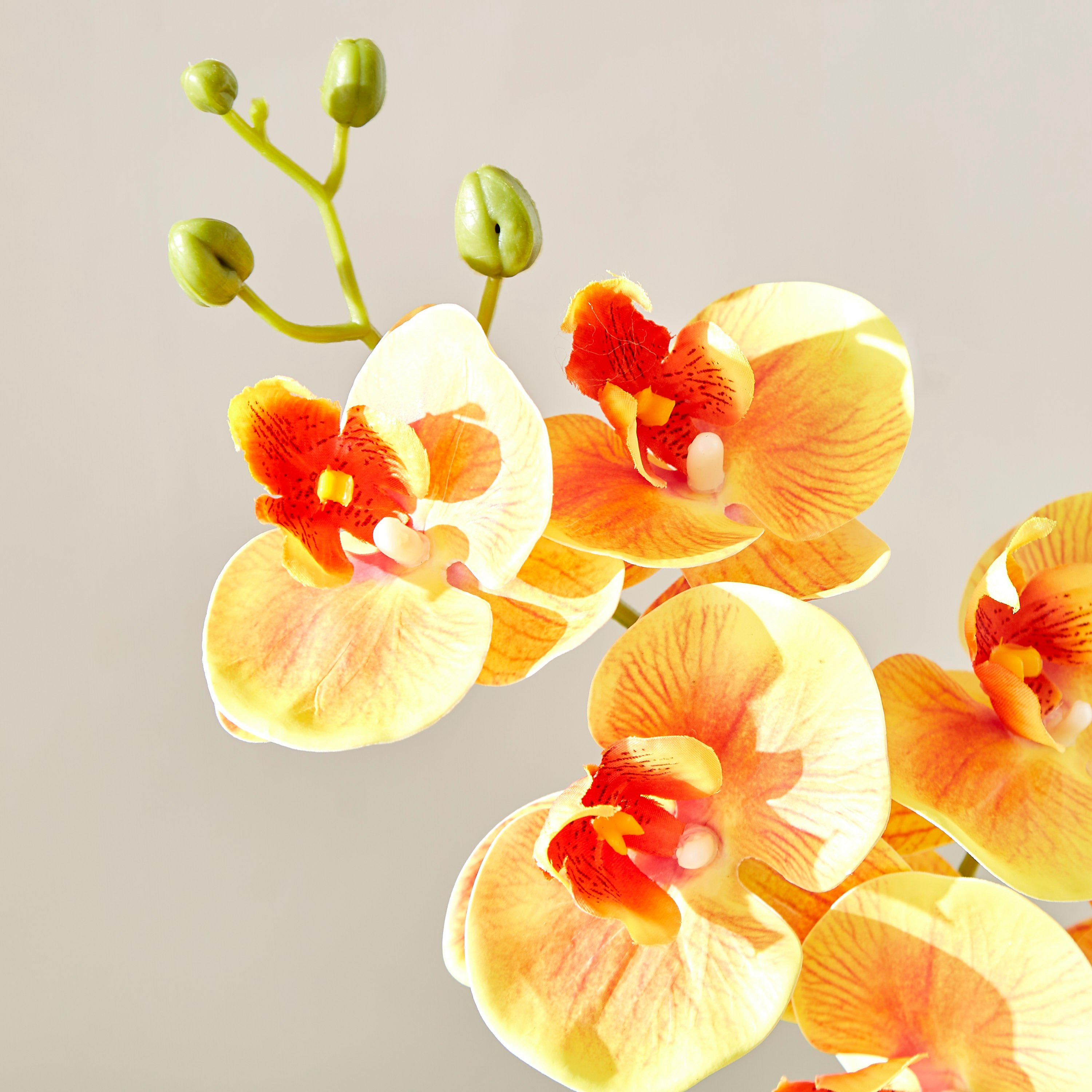 ساق نبات أوركيد بـ7 رؤوس من آريا - 77 سم-hbxdecorandfurnishings-homeaccessories-artificialflowersandplants-image-2