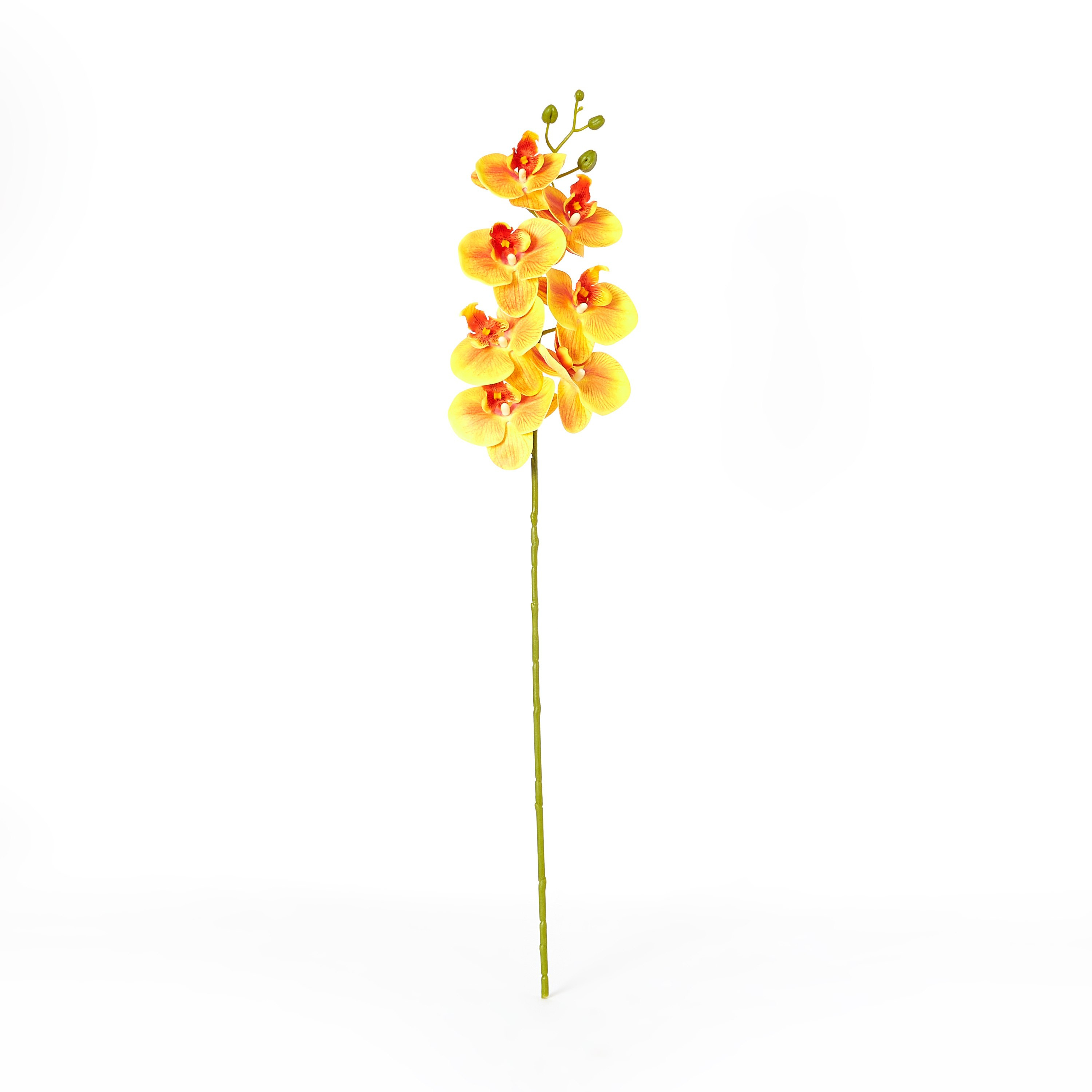 ساق نبات أوركيد بـ7 رؤوس من آريا - 77 سم-hbxdecorandfurnishings-homeaccessories-artificialflowersandplants-image-4
