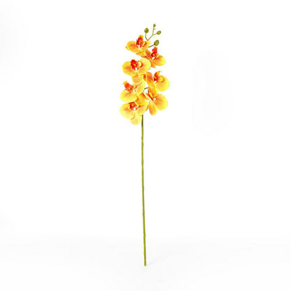 Aria 7-Head Orchid Stem - 77 cms