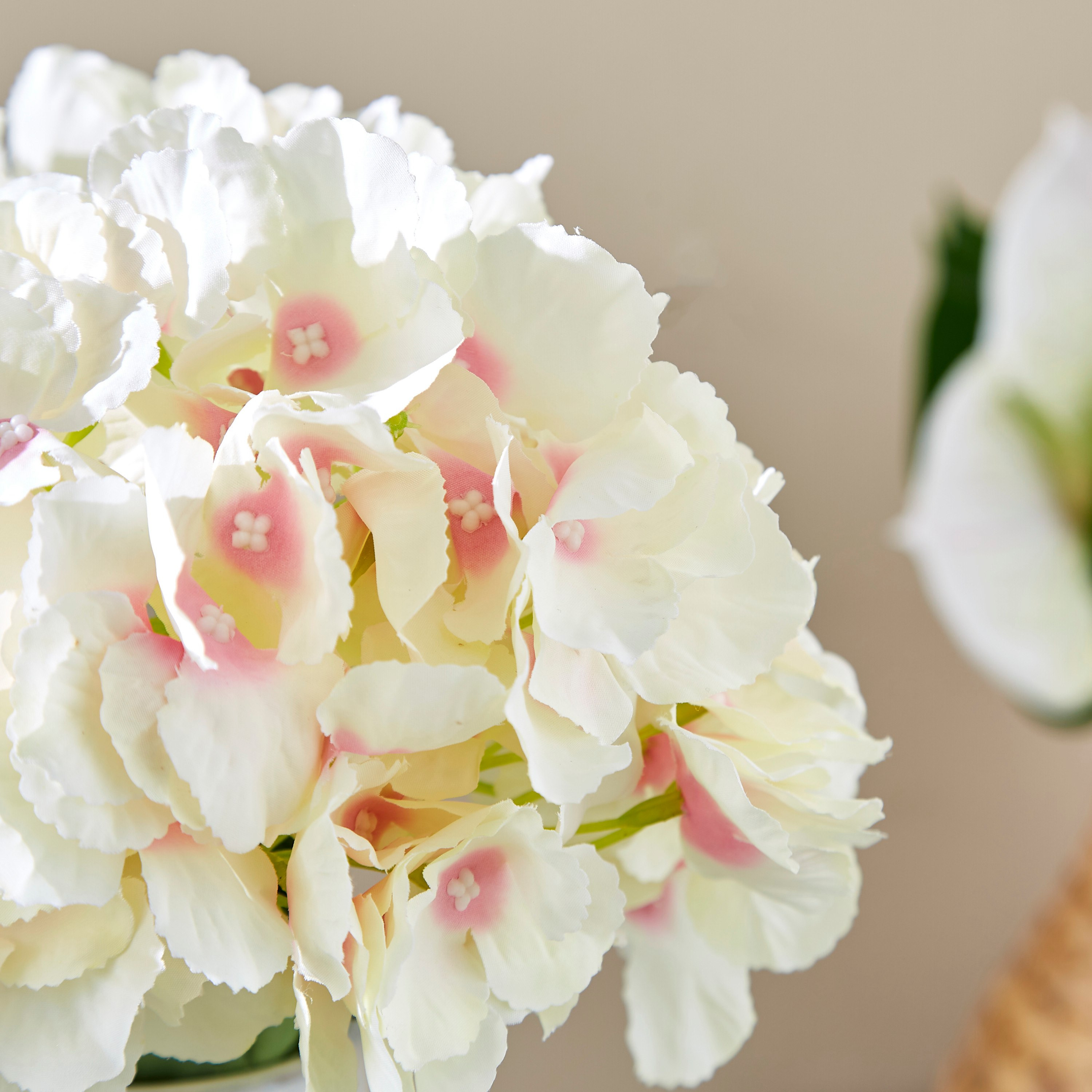 ساق نبات الكوبية بـ5 رؤوس من آريا - 50 سم-hbxdecorandfurnishings-homeaccessories-artificialflowersandplants-image-2