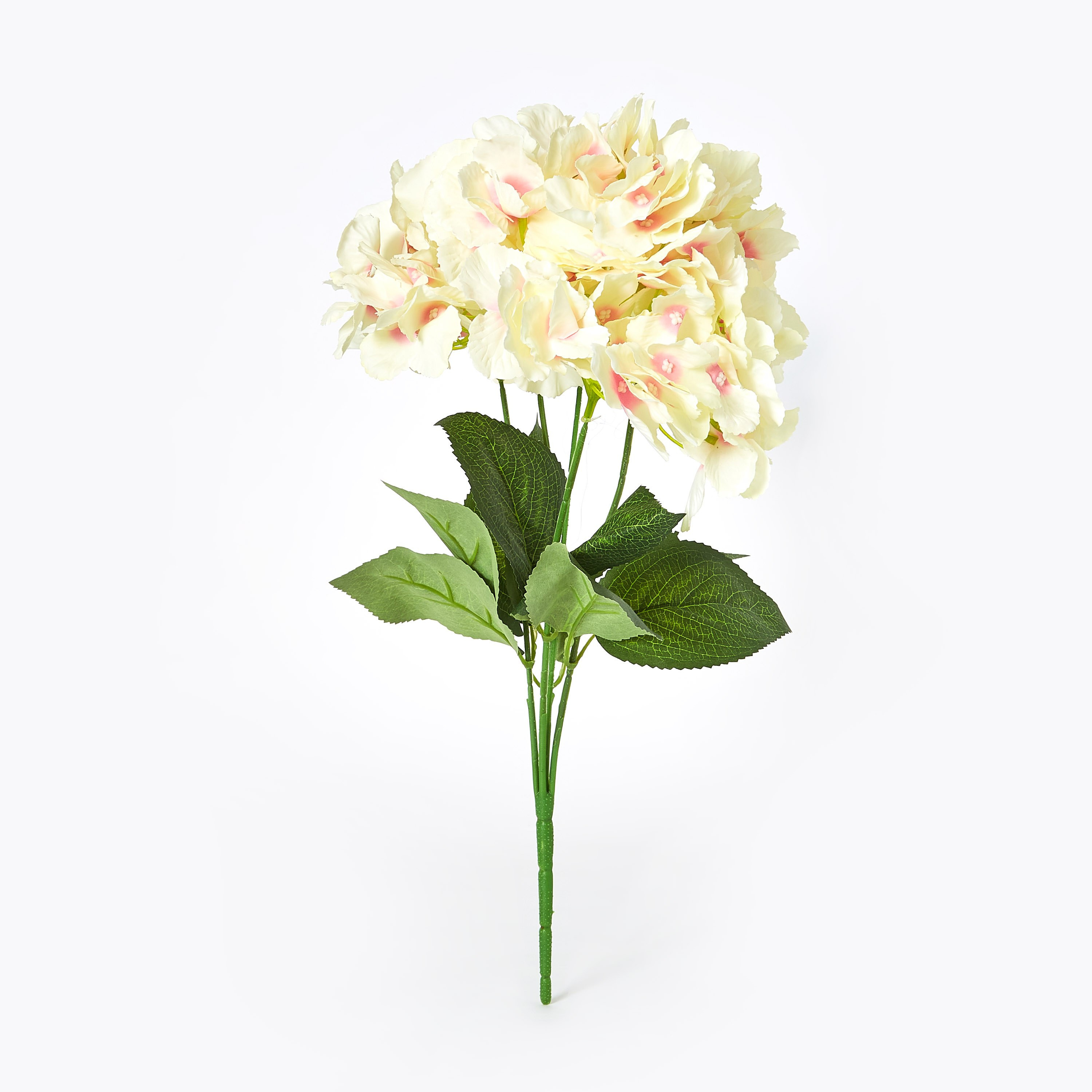 ساق نبات الكوبية بـ5 رؤوس من آريا - 50 سم-hbxdecorandfurnishings-homeaccessories-artificialflowersandplants-image-4