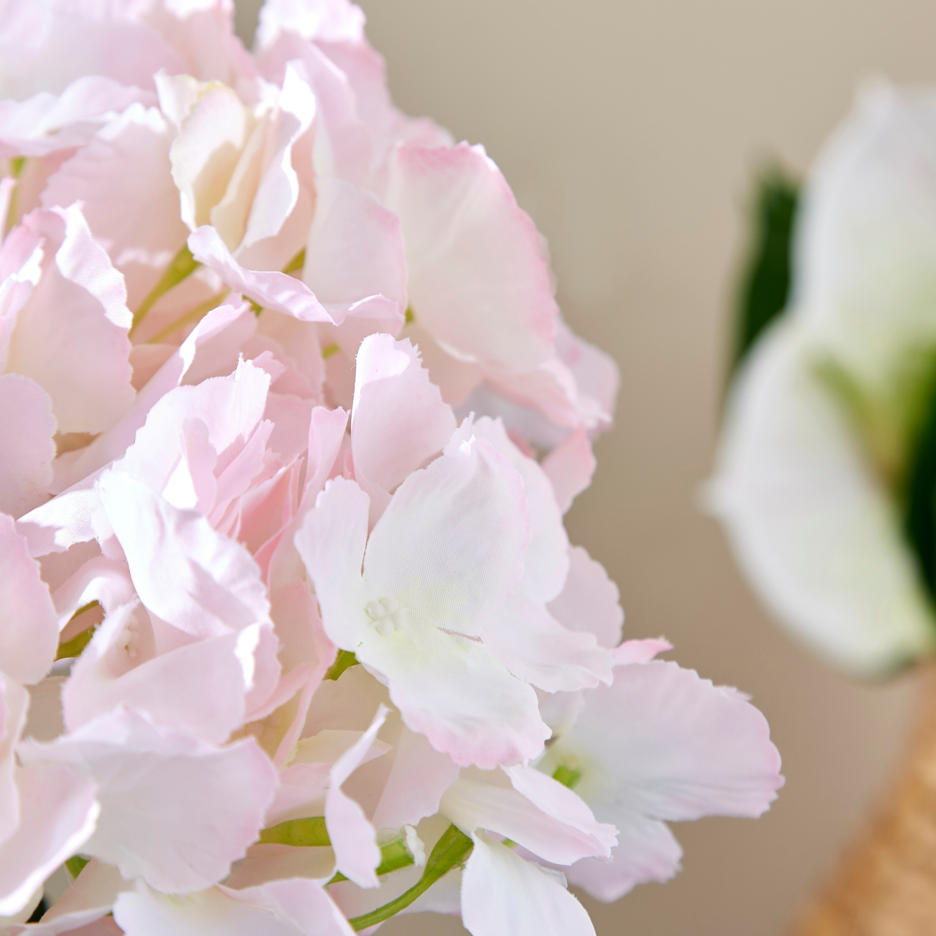 ساق نبات الكوبية بـ5 رؤوس من آريا - 50 سم-hbxdecorandfurnishings-homeaccessories-artificialflowersandplants-image-2