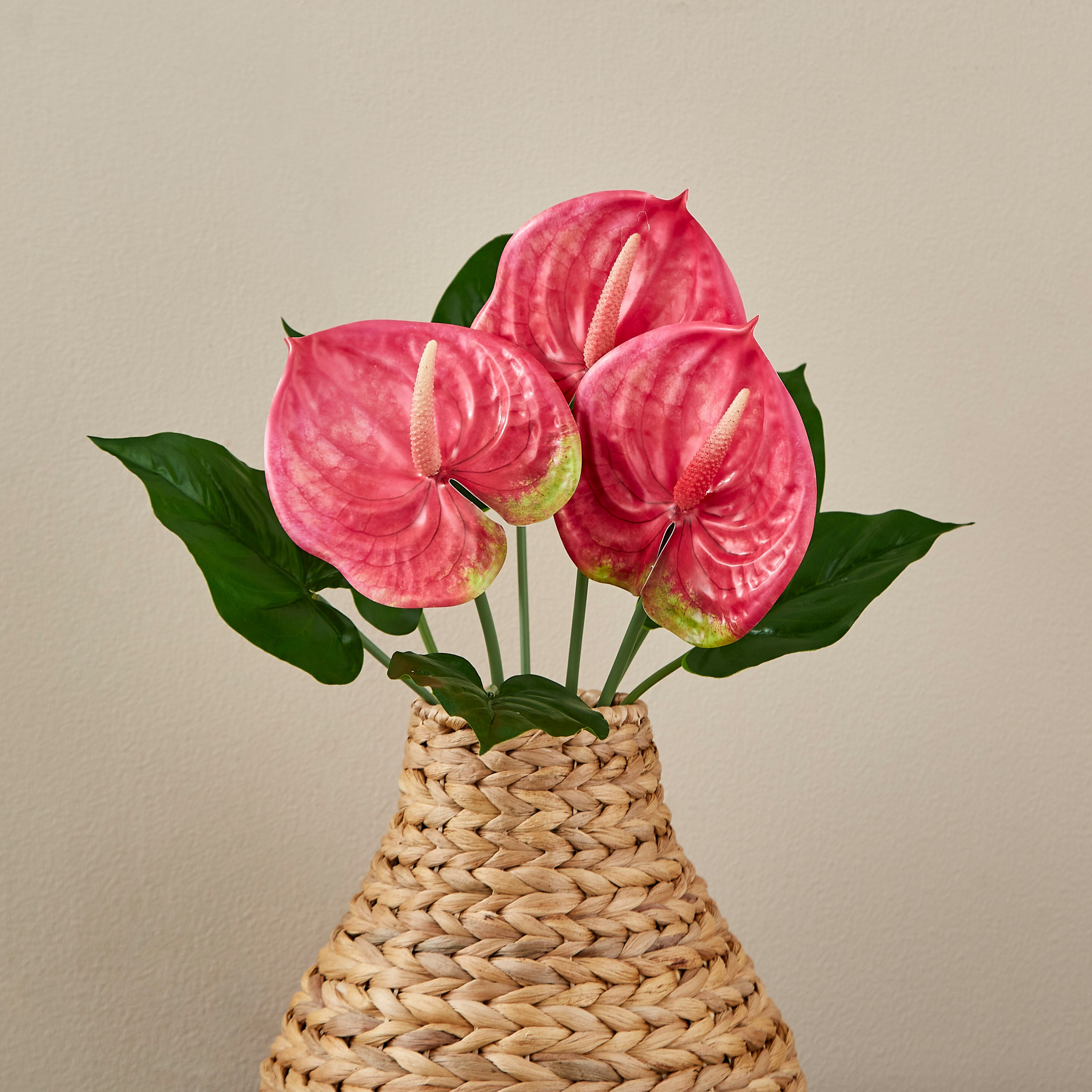 ساق نبات أنثوريوم بـ3 رؤوس من آريا - 43 سم-hbxdecorandfurnishings-homeaccessories-artificialflowersandplants-image-1