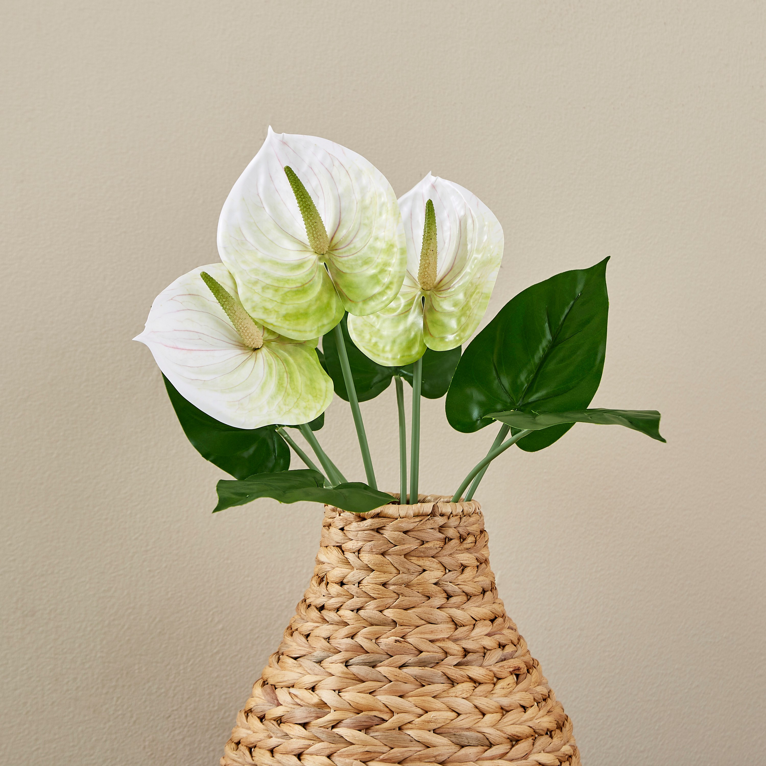 غصن أنثوريوم بـ3 رؤوس من آريا - 43 سم-hbxdecorandfurnishings-homeaccessories-artificialflowersandplants-image-1