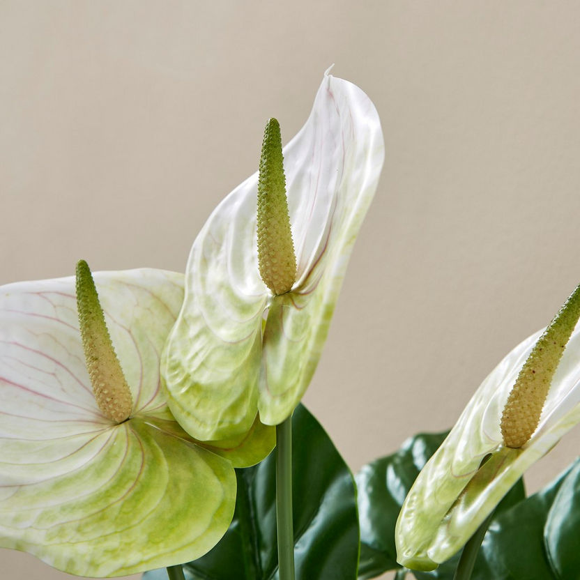 Aria 3-Head Anthurium Stem - 43 cm-Artificial Flowers and Plants-image-1