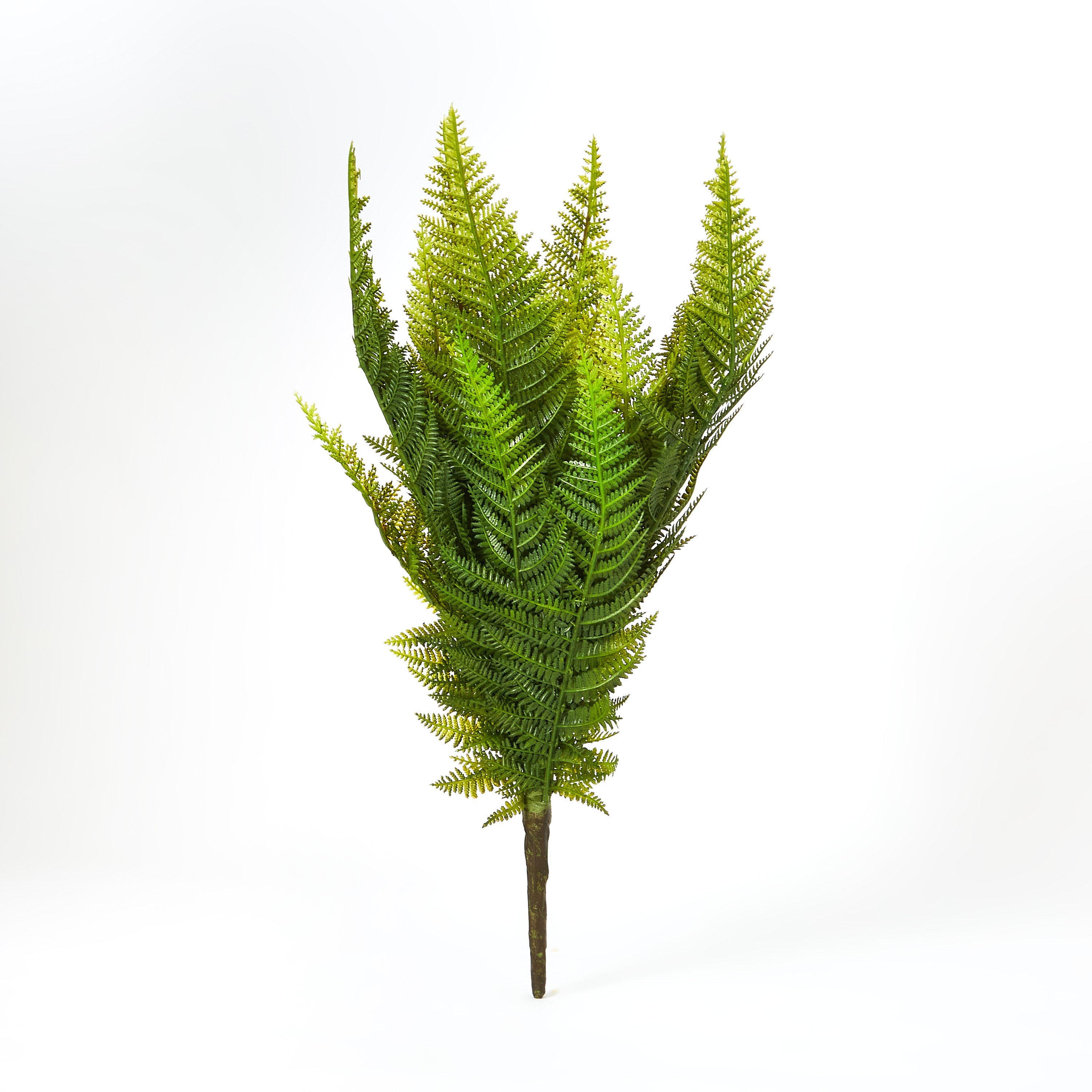 فيرن بانش من أريا - 50 سم-hbxdecorandfurnishings-homeaccessories-artificialflowersandplants-image-4