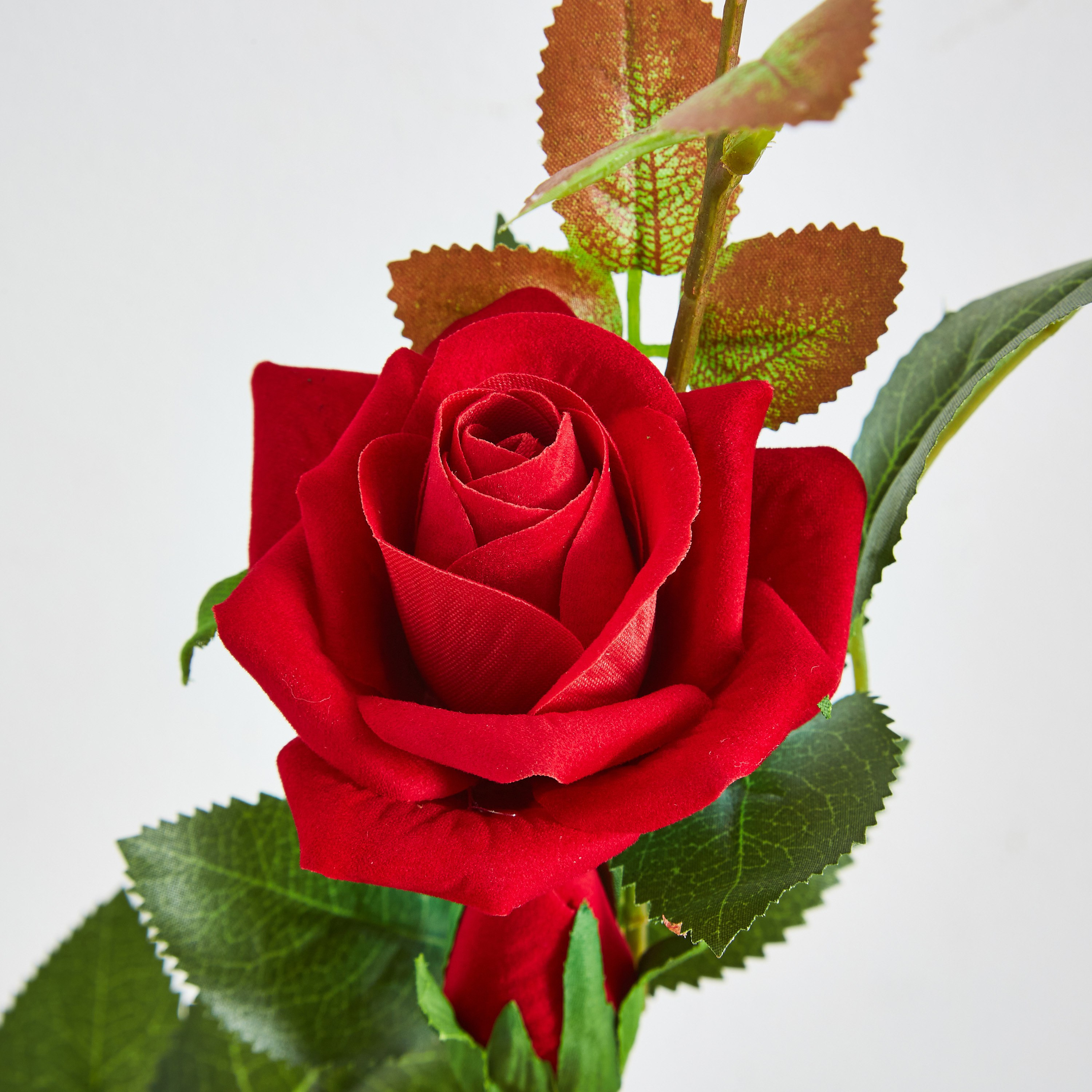 Aria 3-Heads Velvet Rose Stem - 76 cm-hbxdecorandfurnishings-homeaccessories-artificialflowersandplants-image-2
