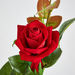 Aria 3-Heads Velvet Rose Stem - 76 cm-Artificial Flowers and Plants-thumbnailMobile-1