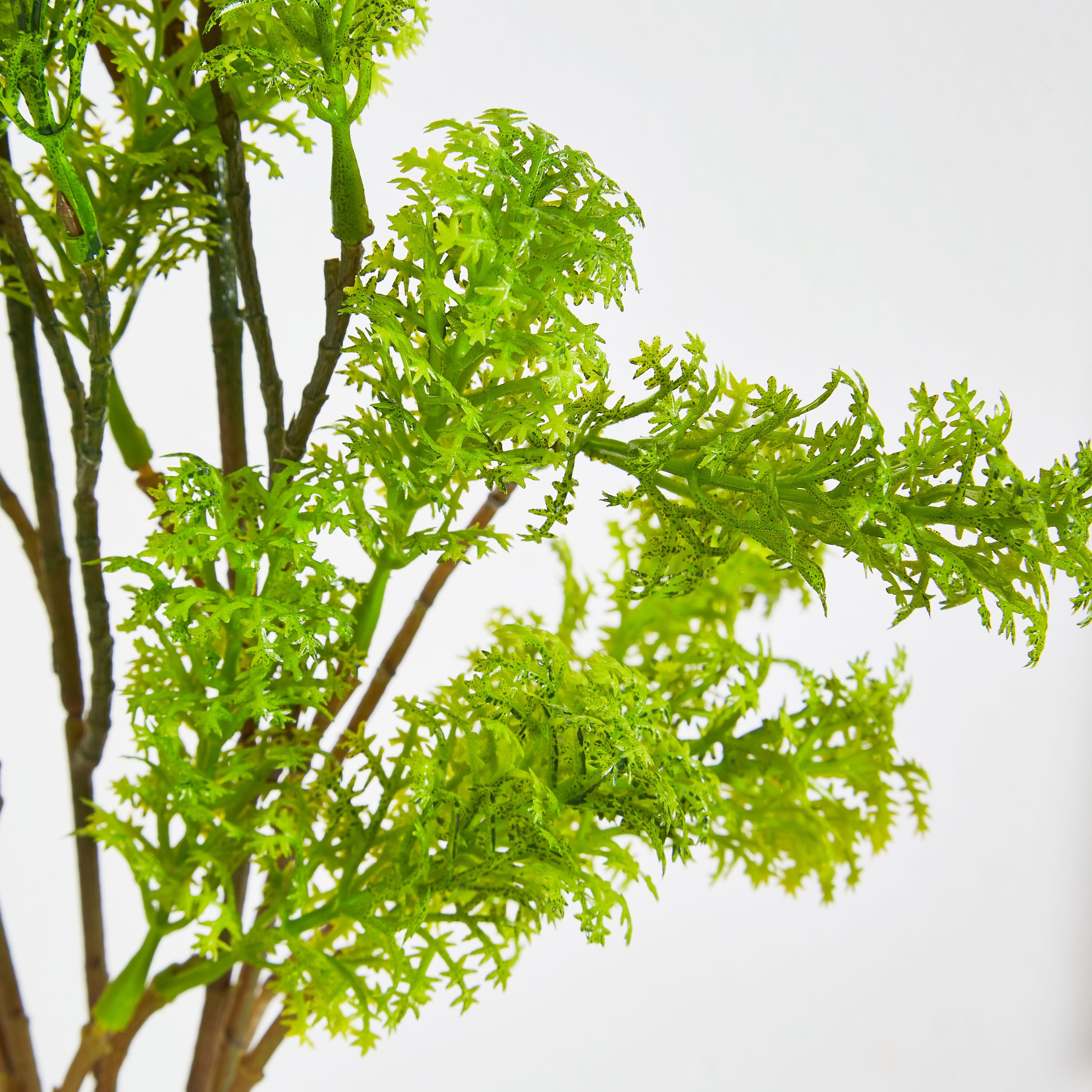 جذع بقدونس من آريا - 47 سم-hbxdecorandfurnishings-homeaccessories-artificialflowersandplants-image-2