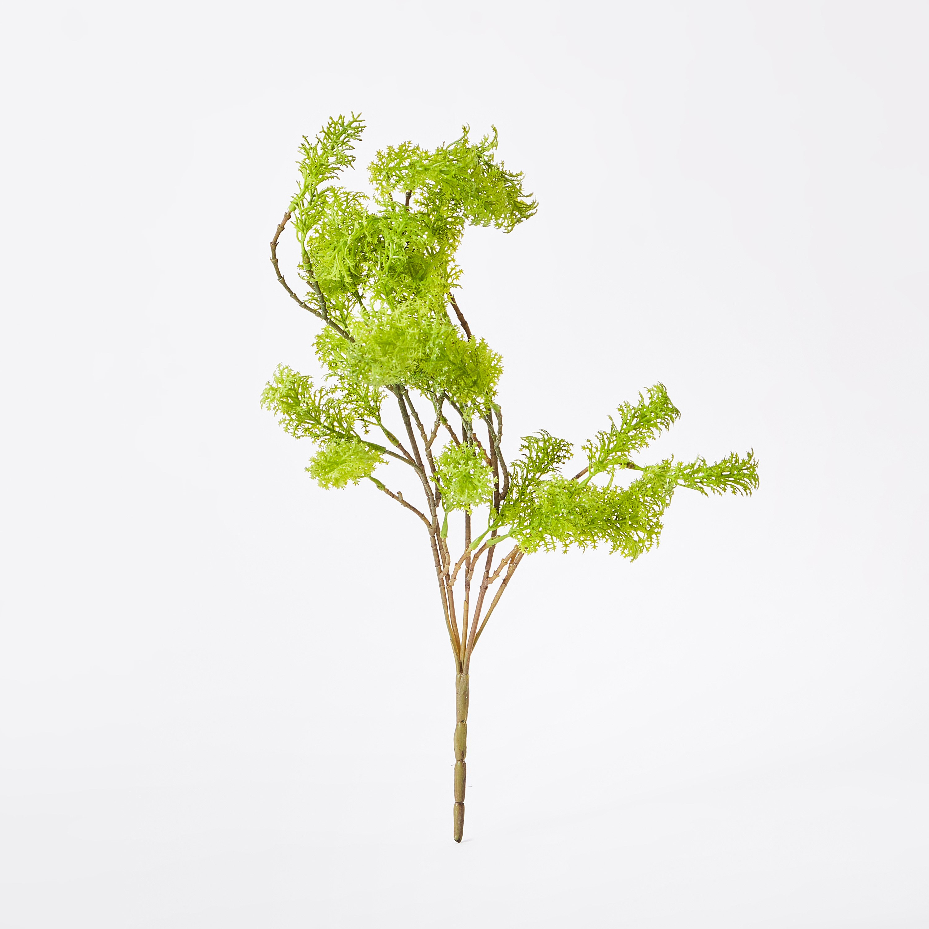 جذع بقدونس من آريا - 47 سم-hbxdecorandfurnishings-homeaccessories-artificialflowersandplants-image-4