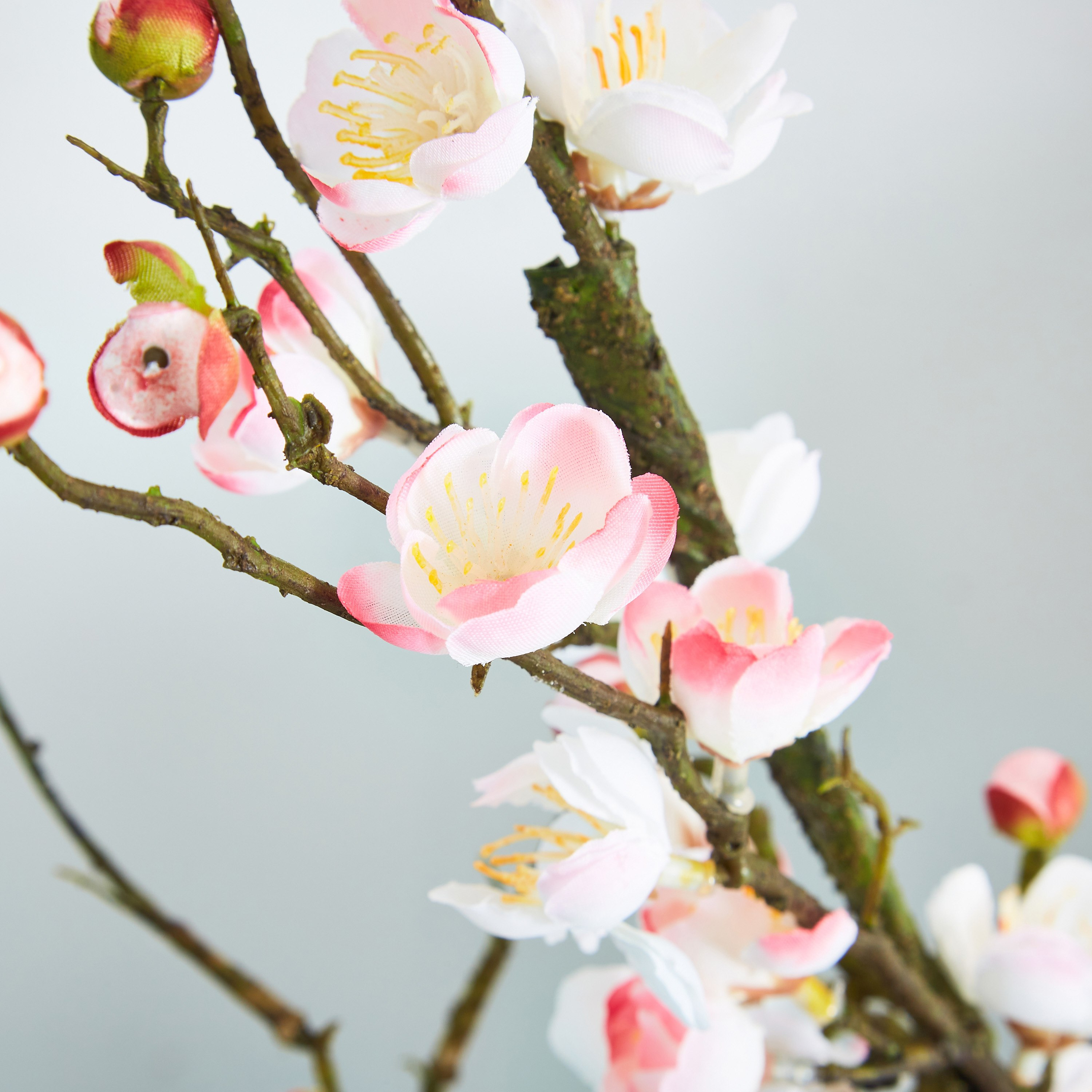 زهر البرقوق من آريا - 120 سم-hbxdecorandfurnishings-homeaccessories-artificialflowersandplants-image-2