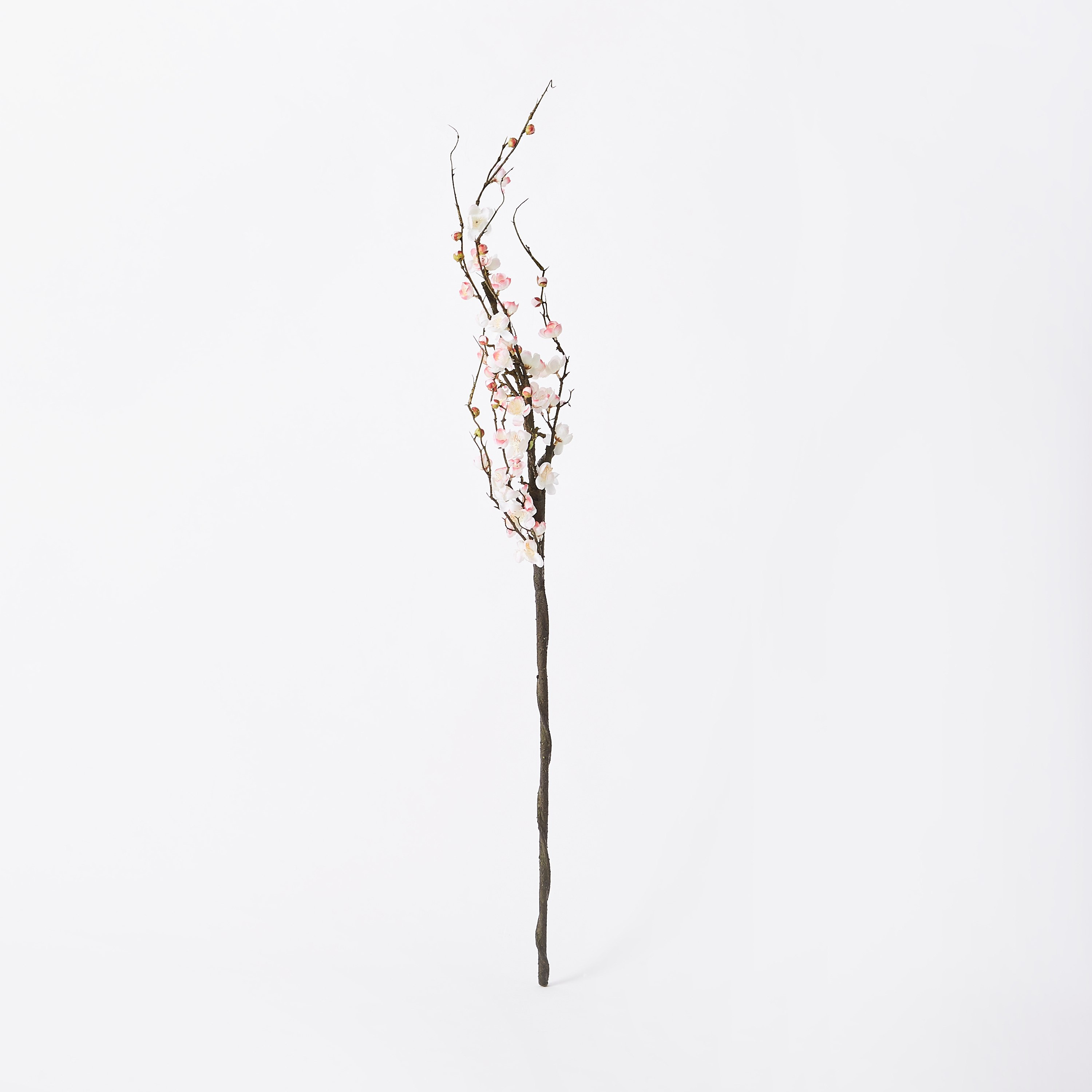 زهر البرقوق من آريا - 120 سم-hbxdecorandfurnishings-homeaccessories-artificialflowersandplants-image-4